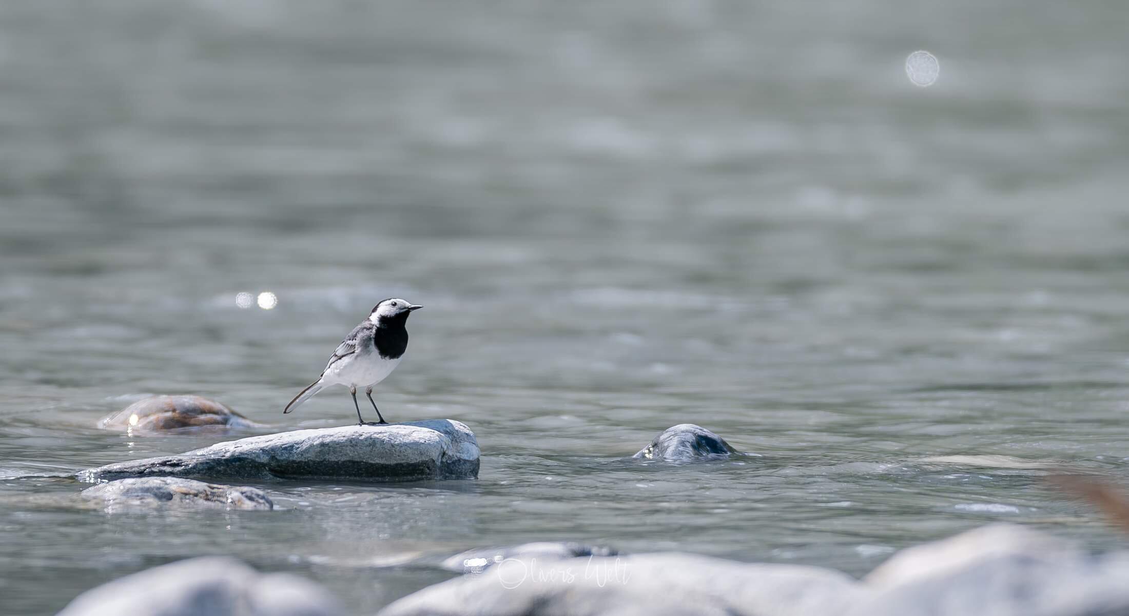 Bild ohne Beschreibung