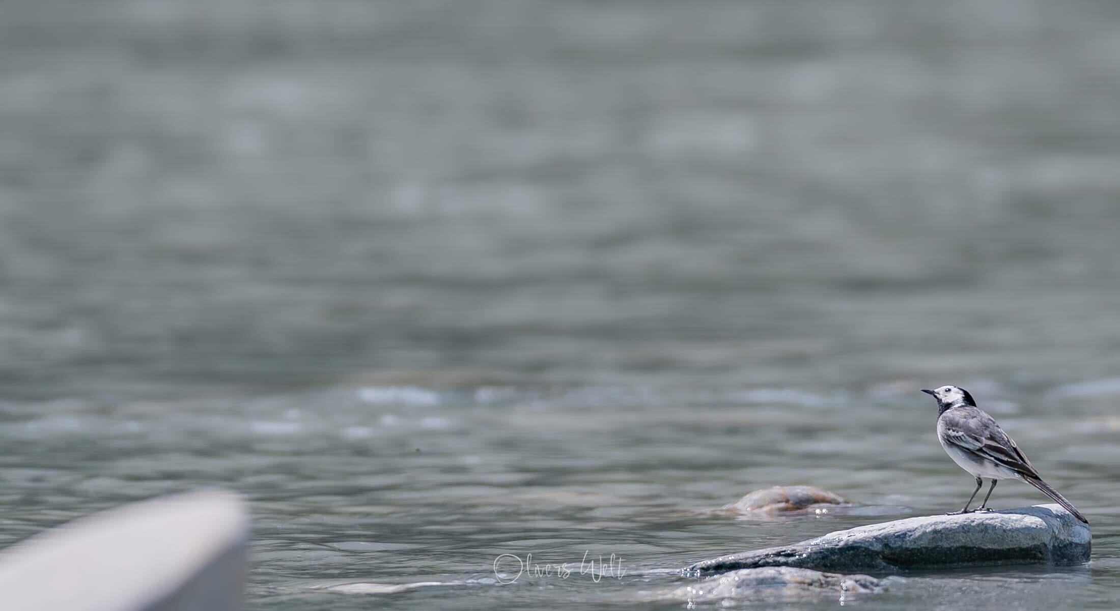 Bild ohne Beschreibung