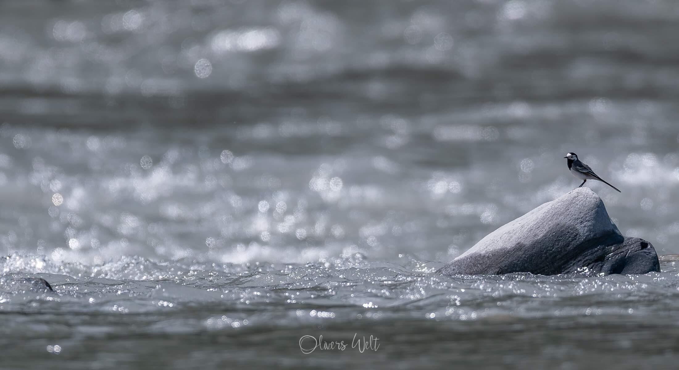 Bild ohne Beschreibung