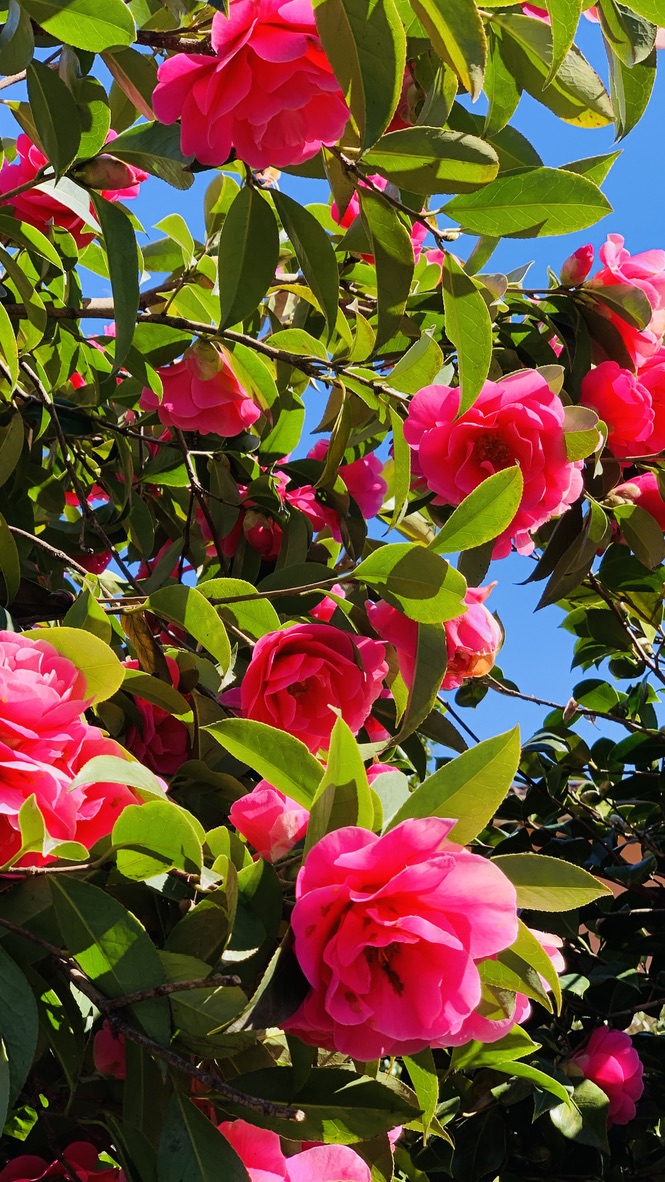 Bild ohne Beschreibung