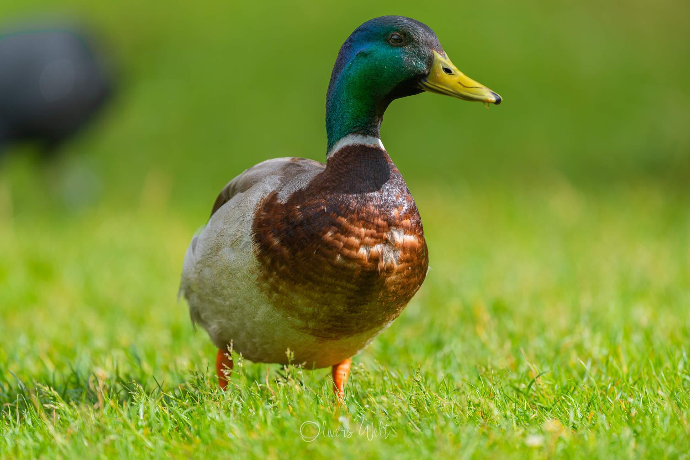 Bild ohne Beschreibung