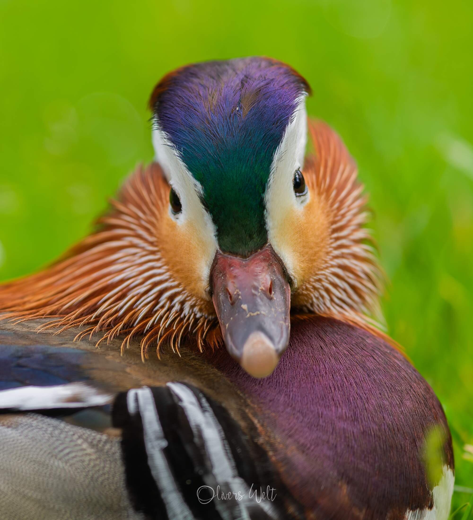 Bild ohne Beschreibung