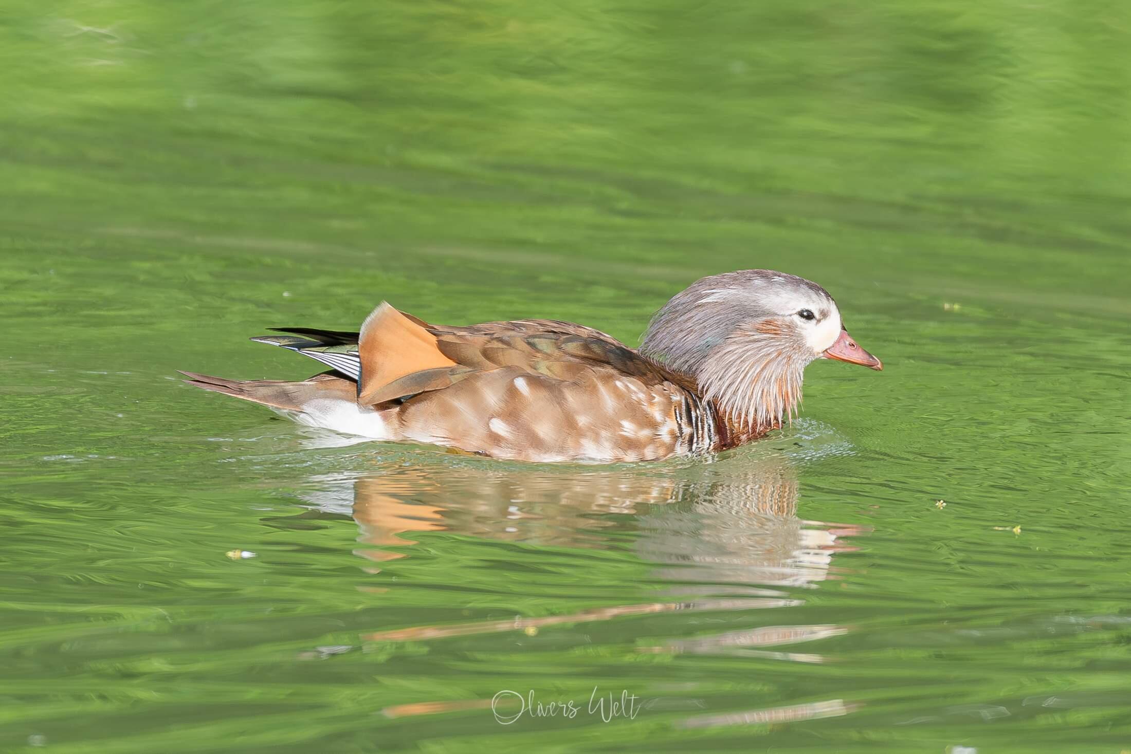 Bild ohne Beschreibung