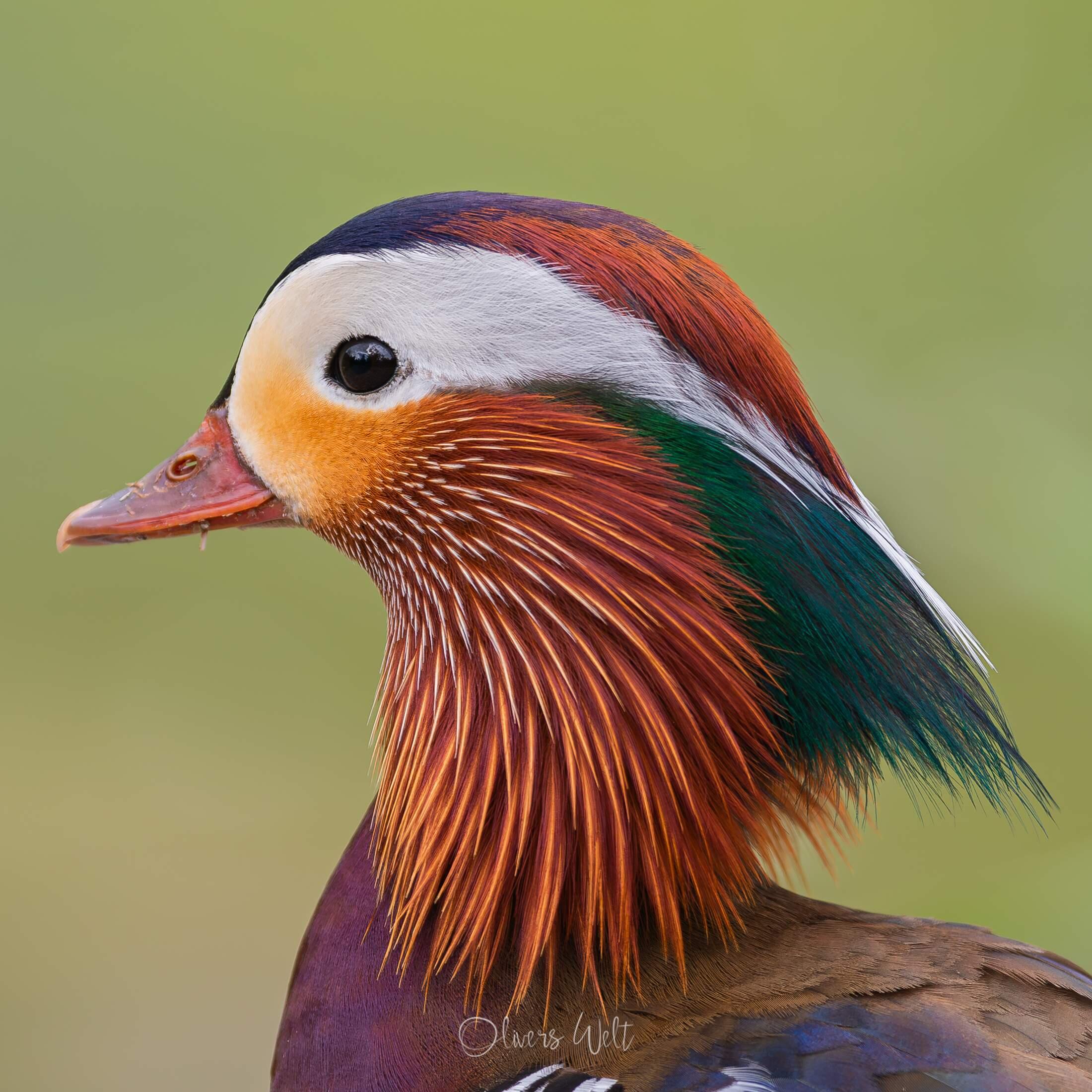 Bild ohne Beschreibung