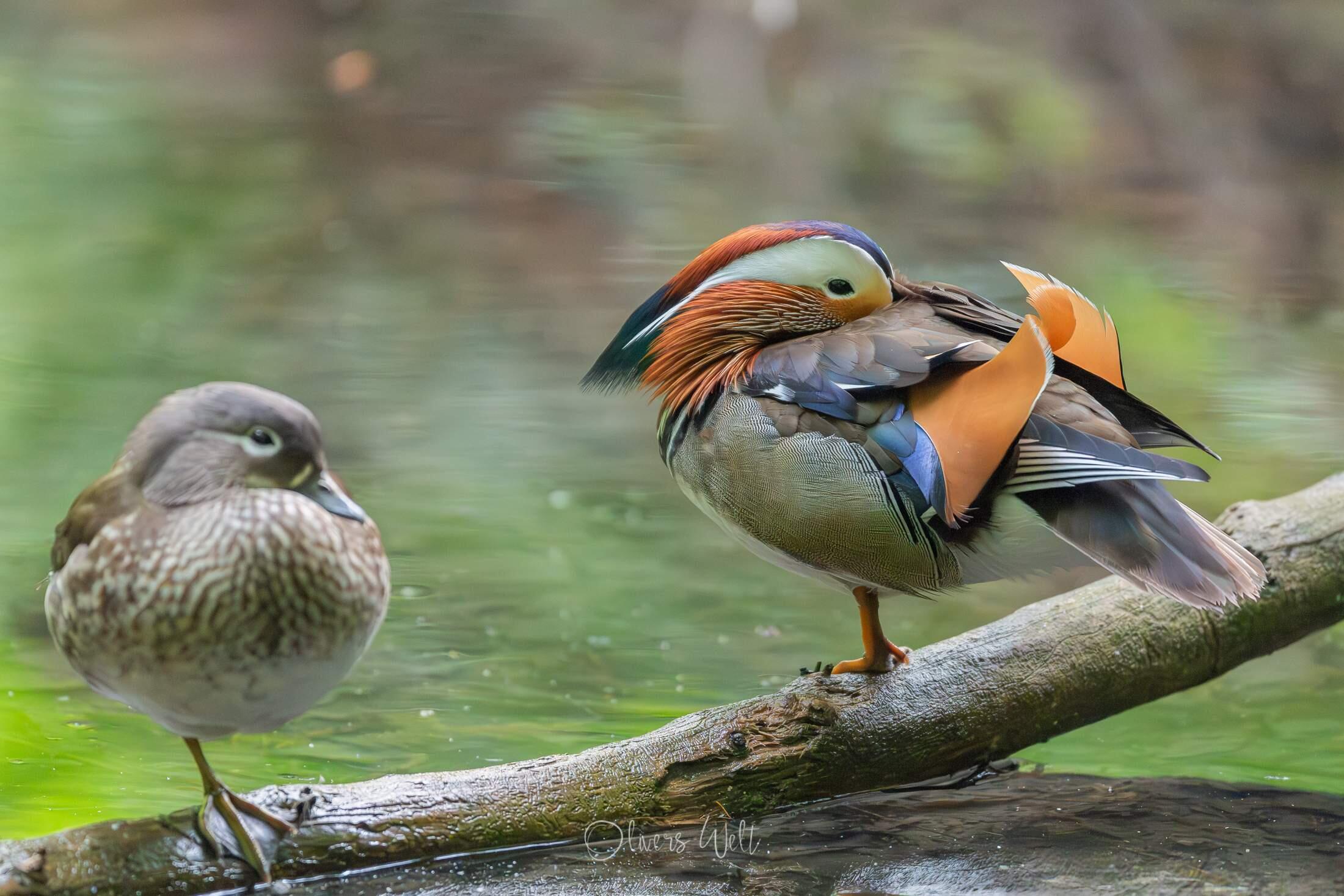 Bild ohne Beschreibung