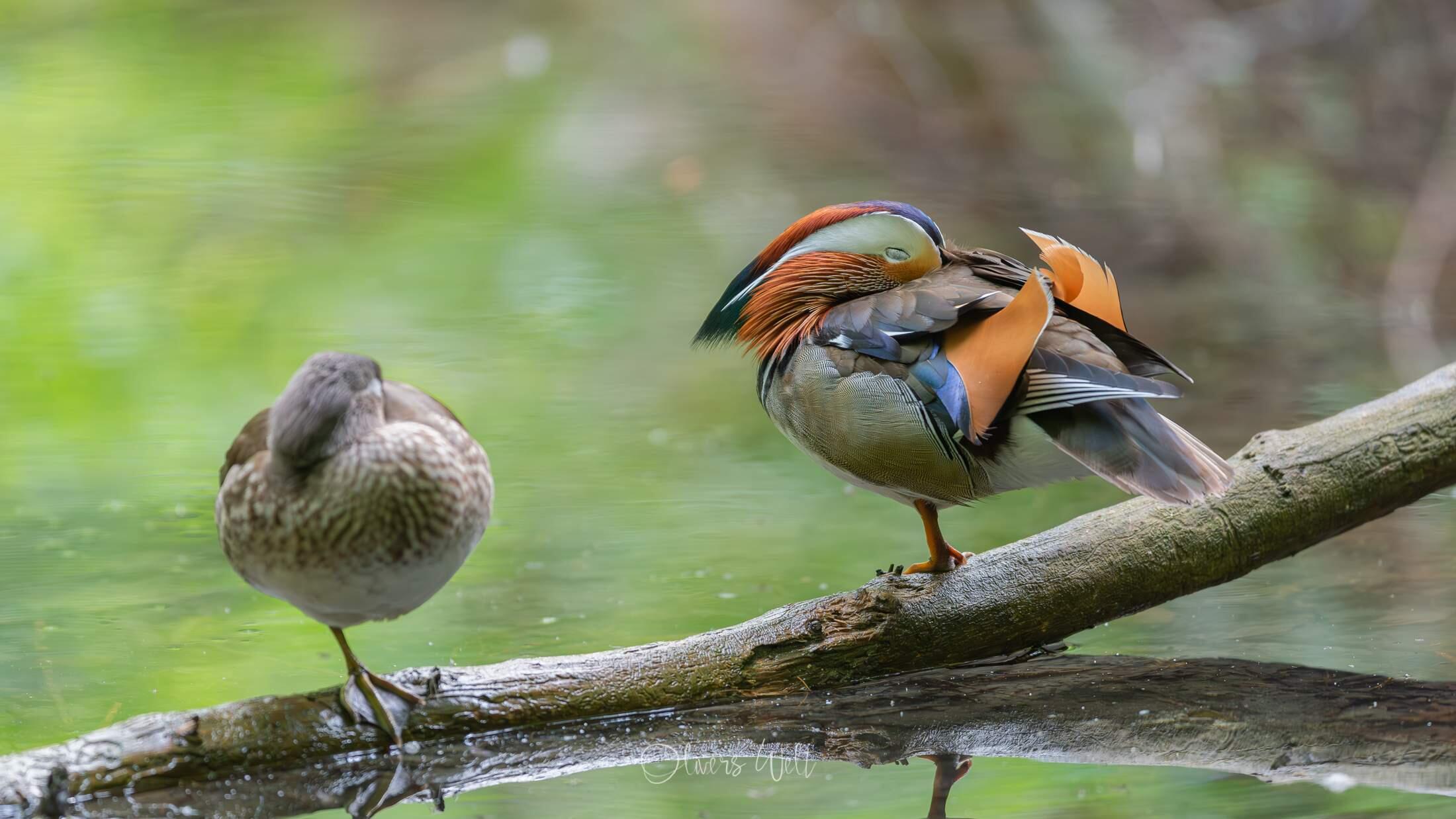 Bild ohne Beschreibung