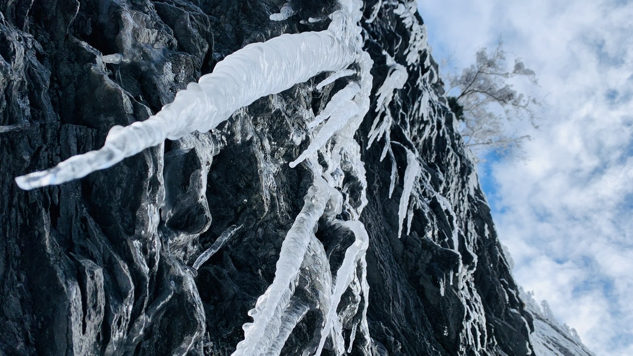 Bild ohne Beschreibung