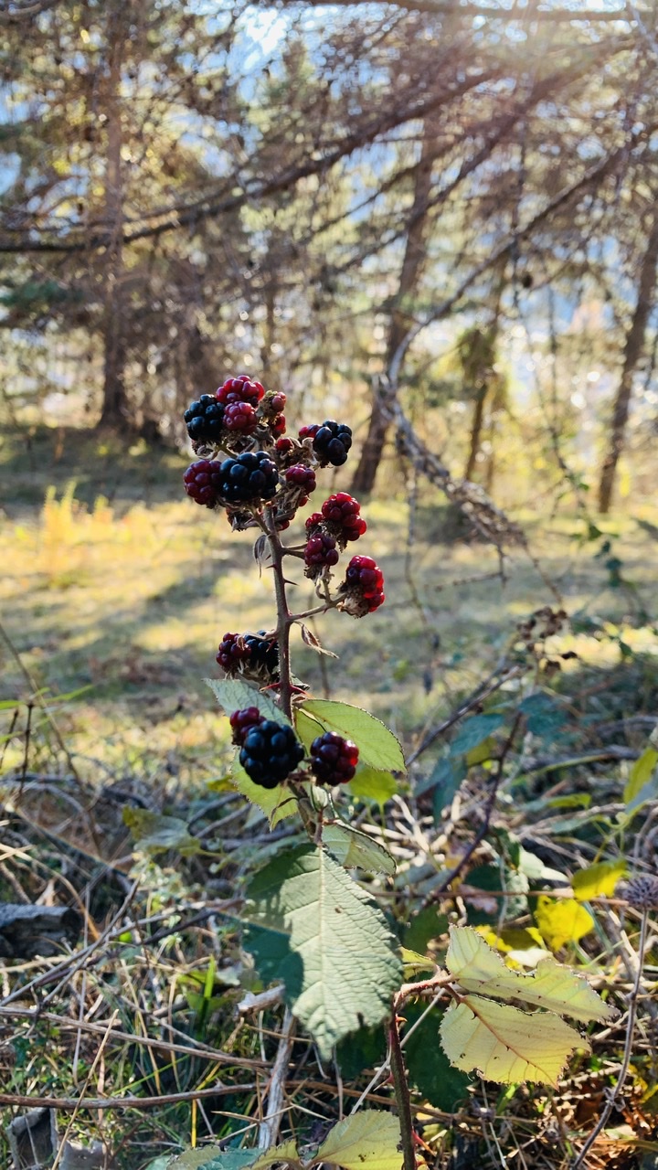 Bild ohne Beschreibung