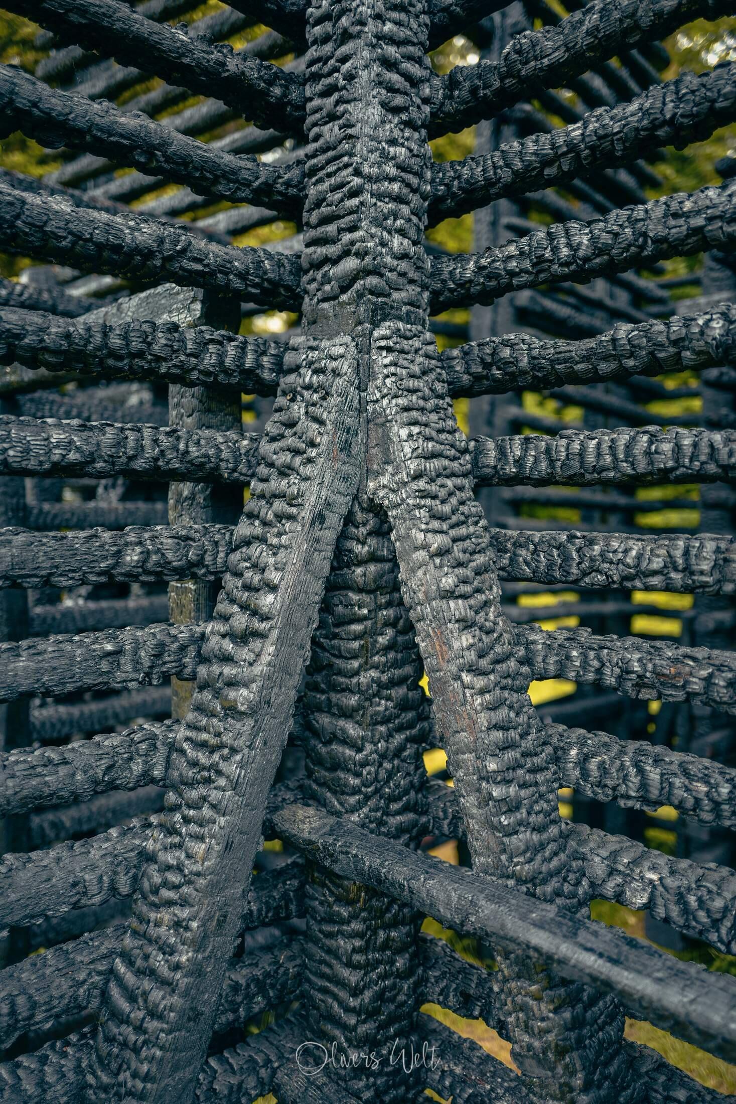 Bild ohne Beschreibung Bild ohne Beschreibung