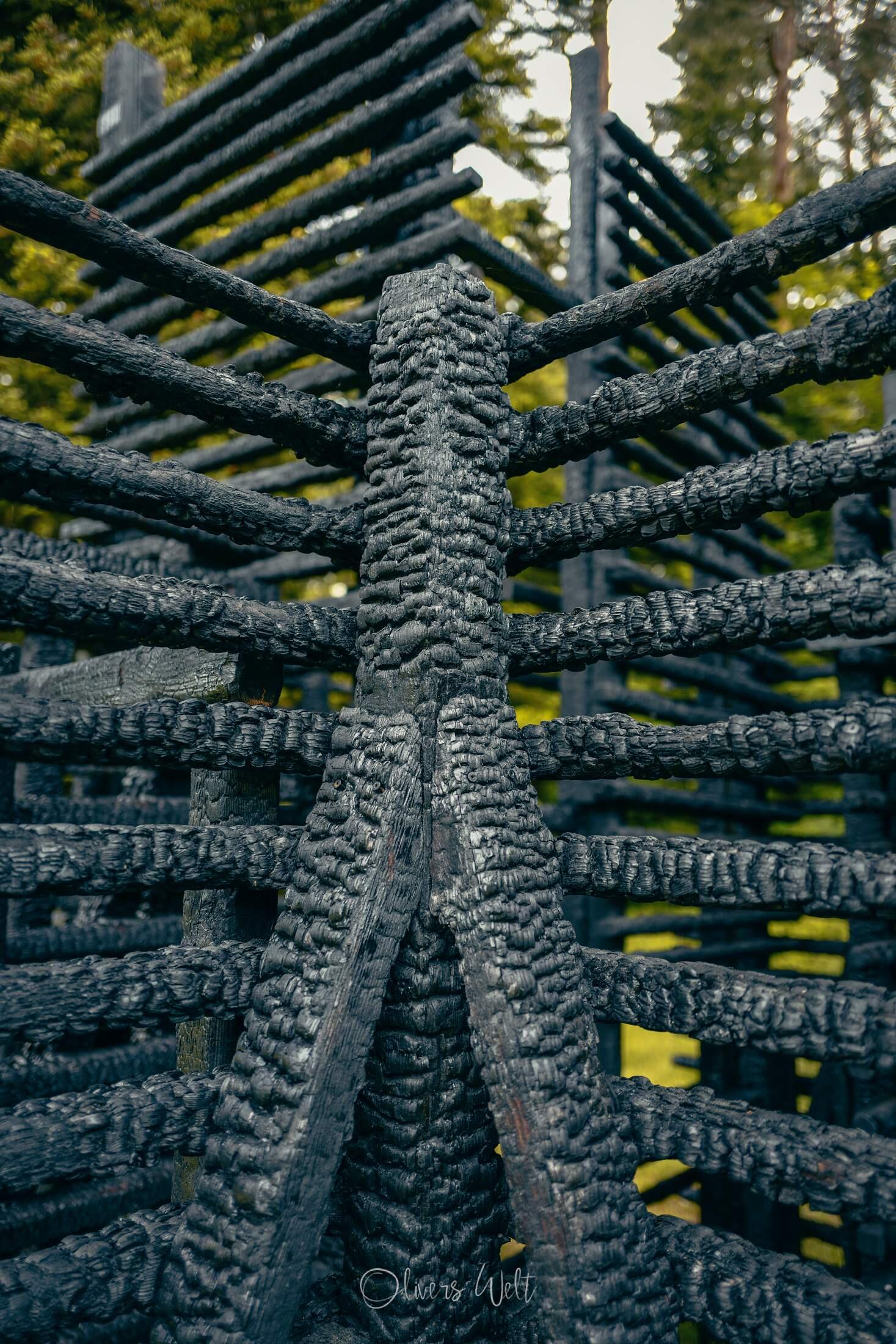 Bild ohne Beschreibung Bild ohne Beschreibung