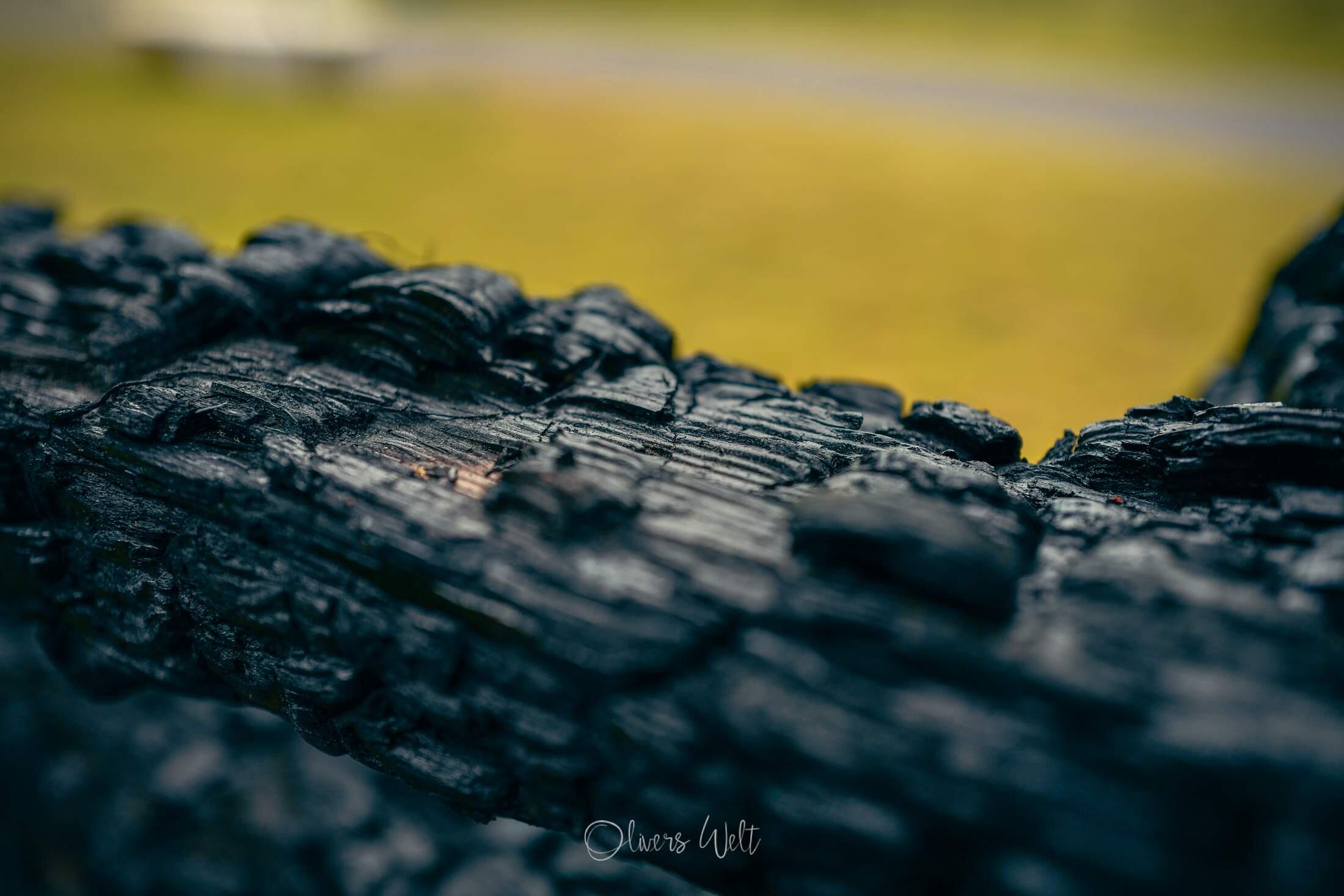 Bild ohne Beschreibung Bild ohne Beschreibung