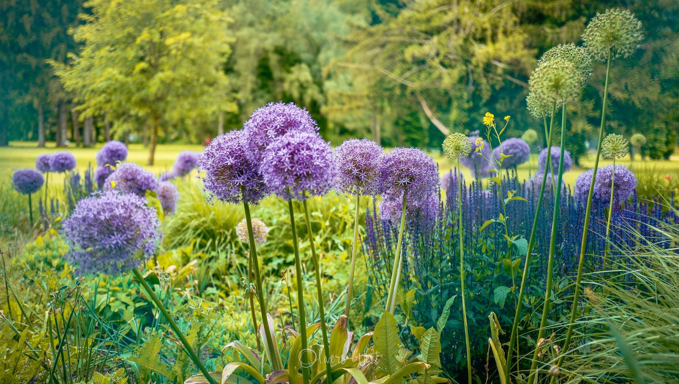 Bild ohne Beschreibung Bild ohne Beschreibung