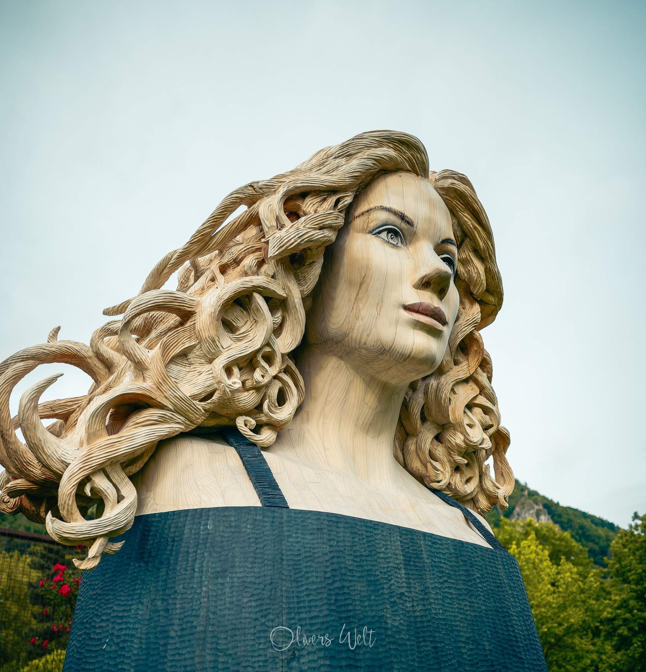 Bild ohne Beschreibung Bild ohne Beschreibung