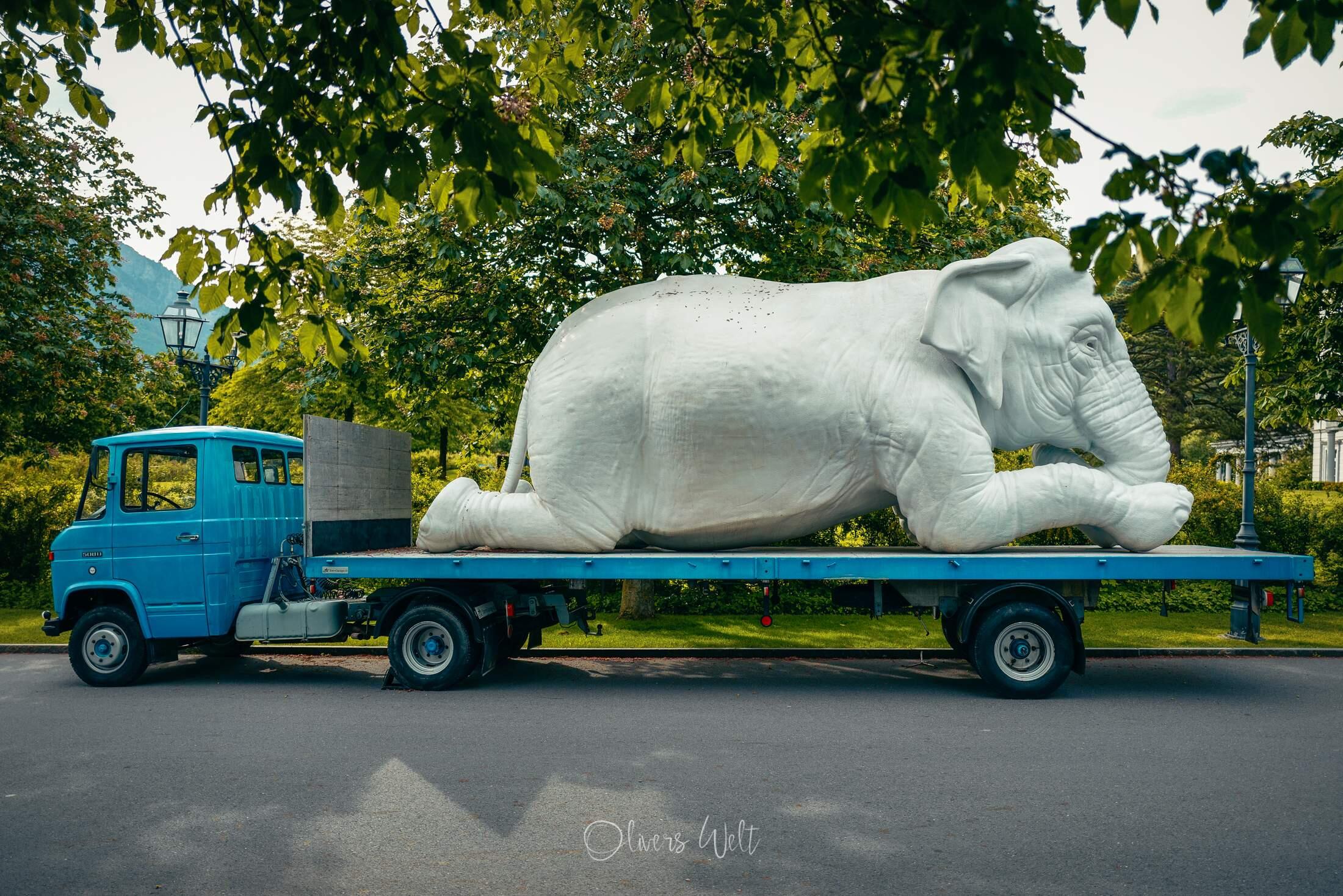 Bild ohne Beschreibung Bild ohne Beschreibung