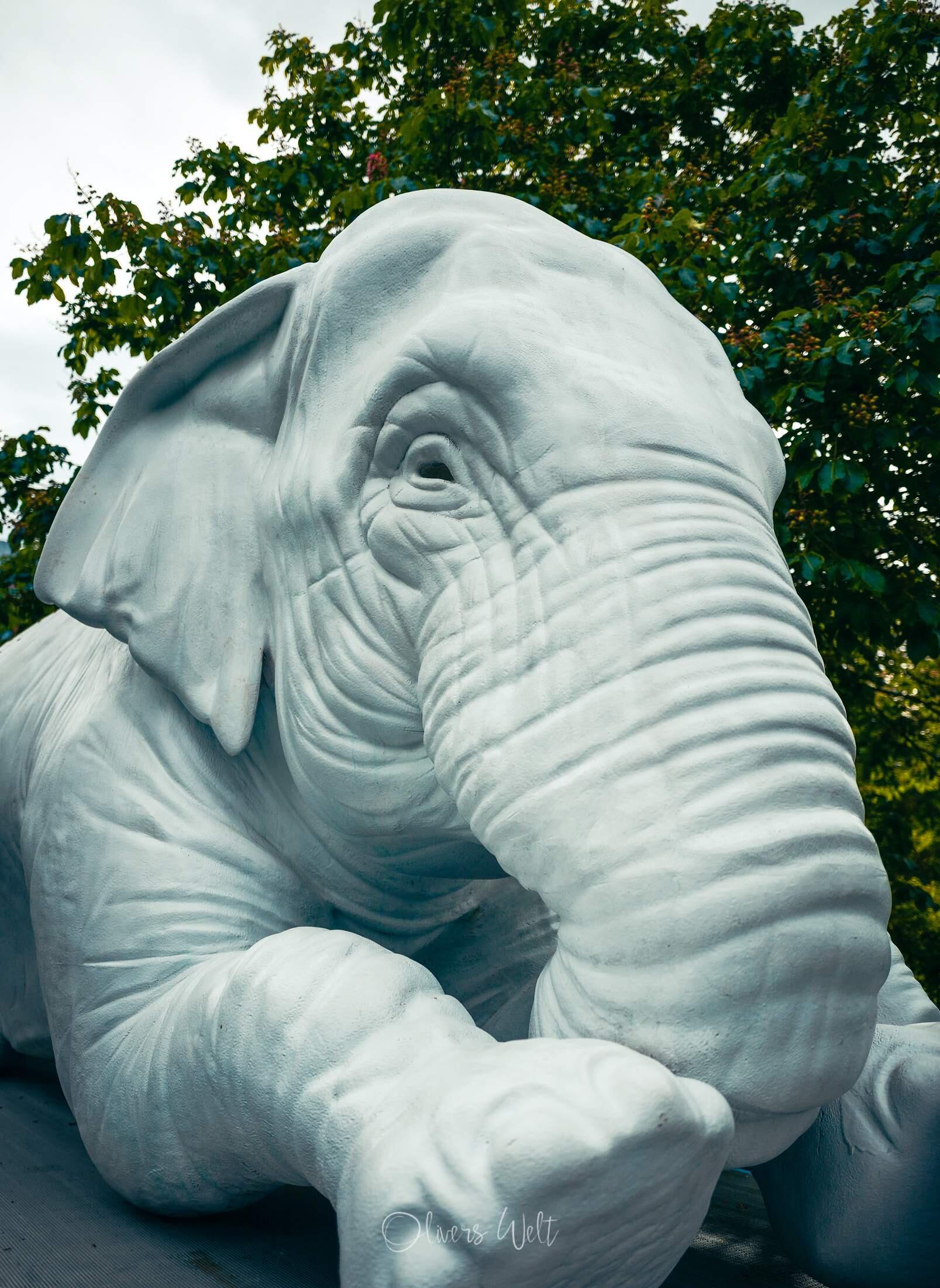 Bild ohne Beschreibung Bild ohne Beschreibung