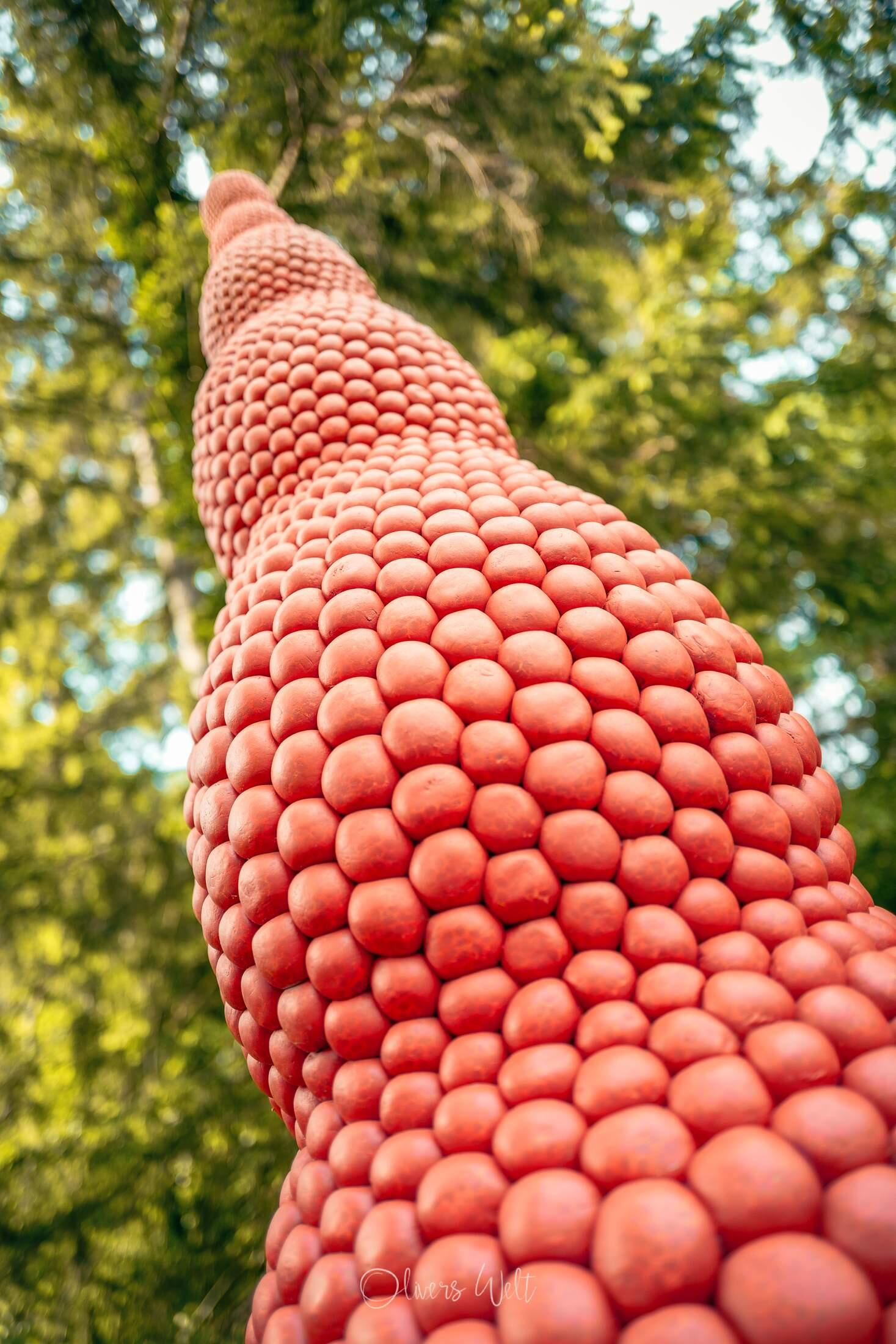 Bild ohne Beschreibung Bild ohne Beschreibung