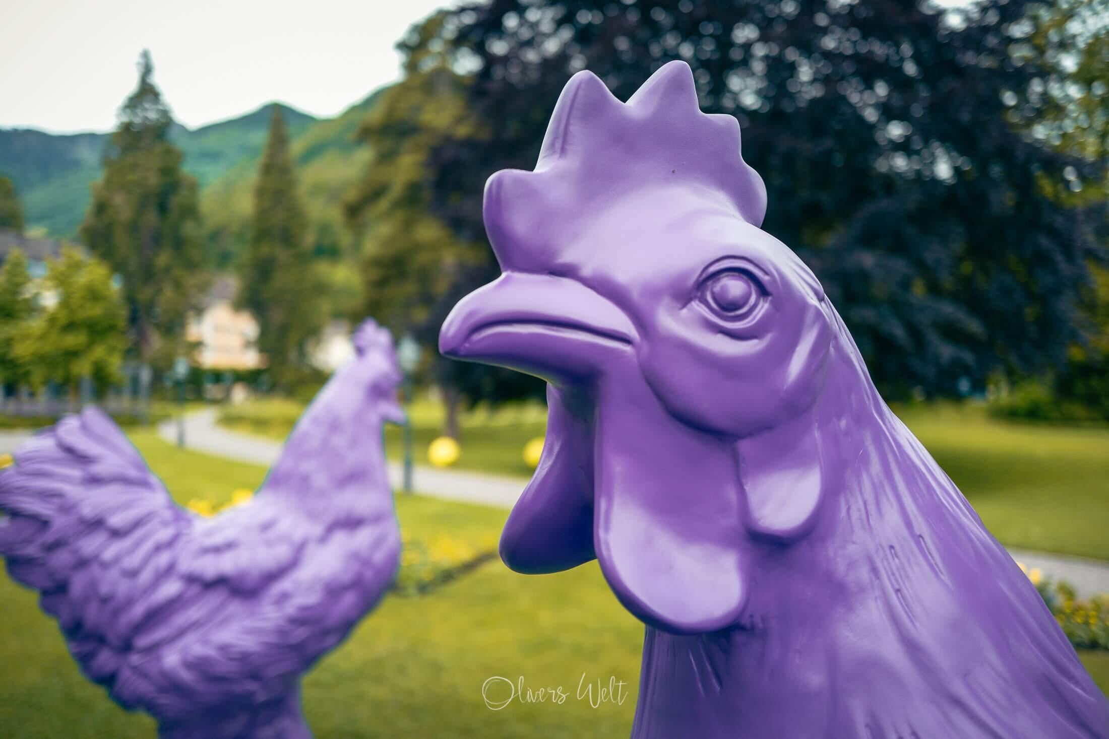 Bild ohne Beschreibung Bild ohne Beschreibung