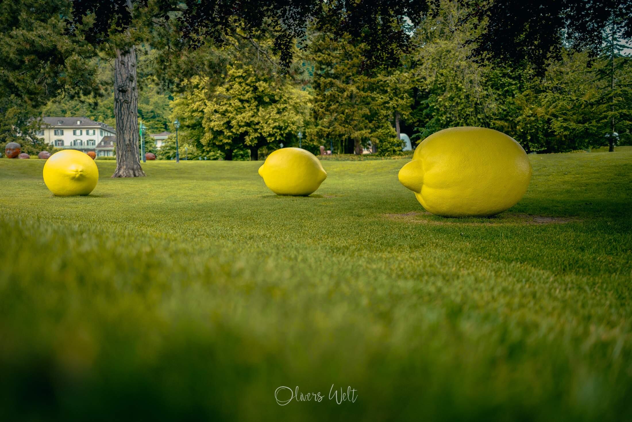 Bild ohne Beschreibung Bild ohne Beschreibung