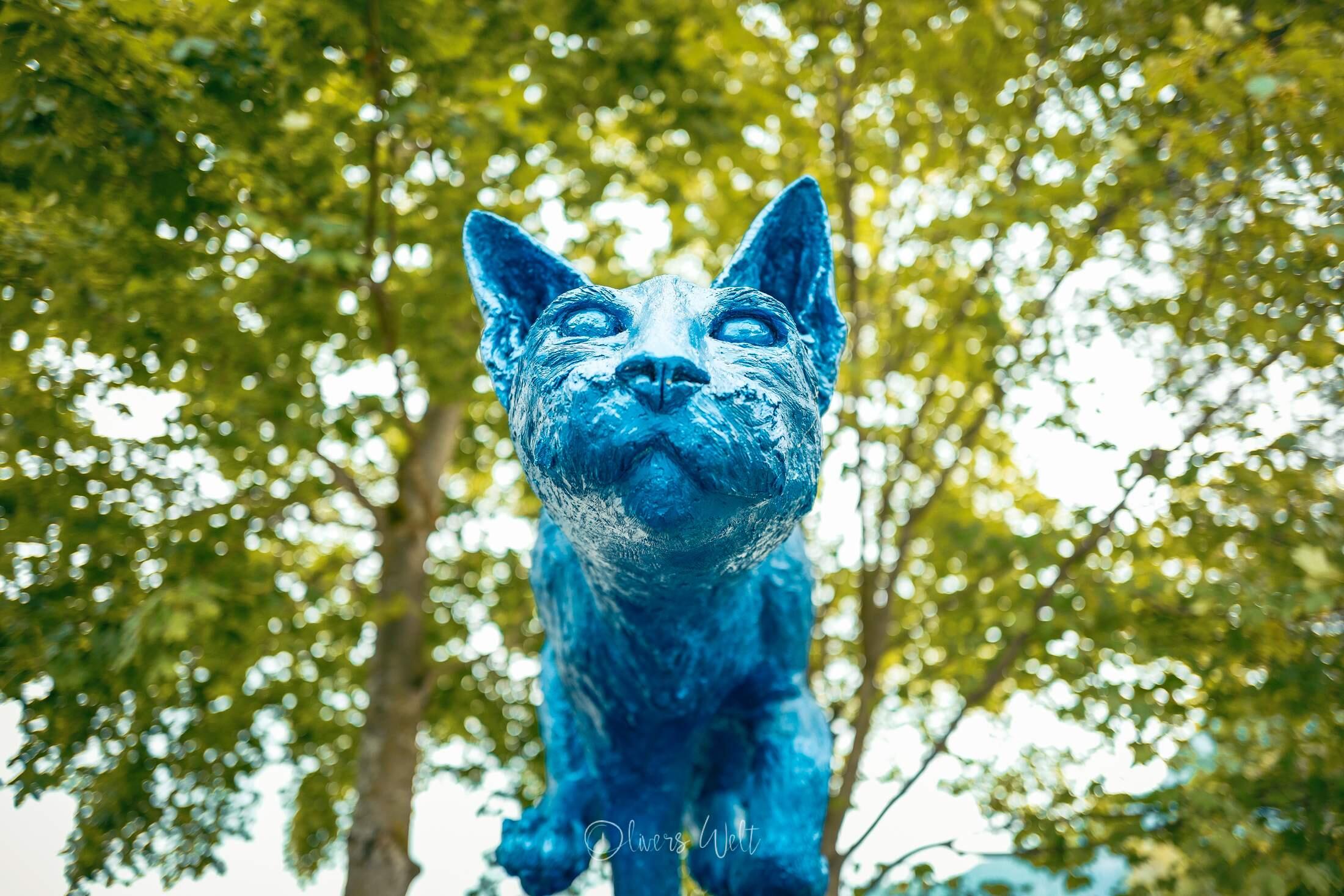 Bild ohne Beschreibung Bild ohne Beschreibung