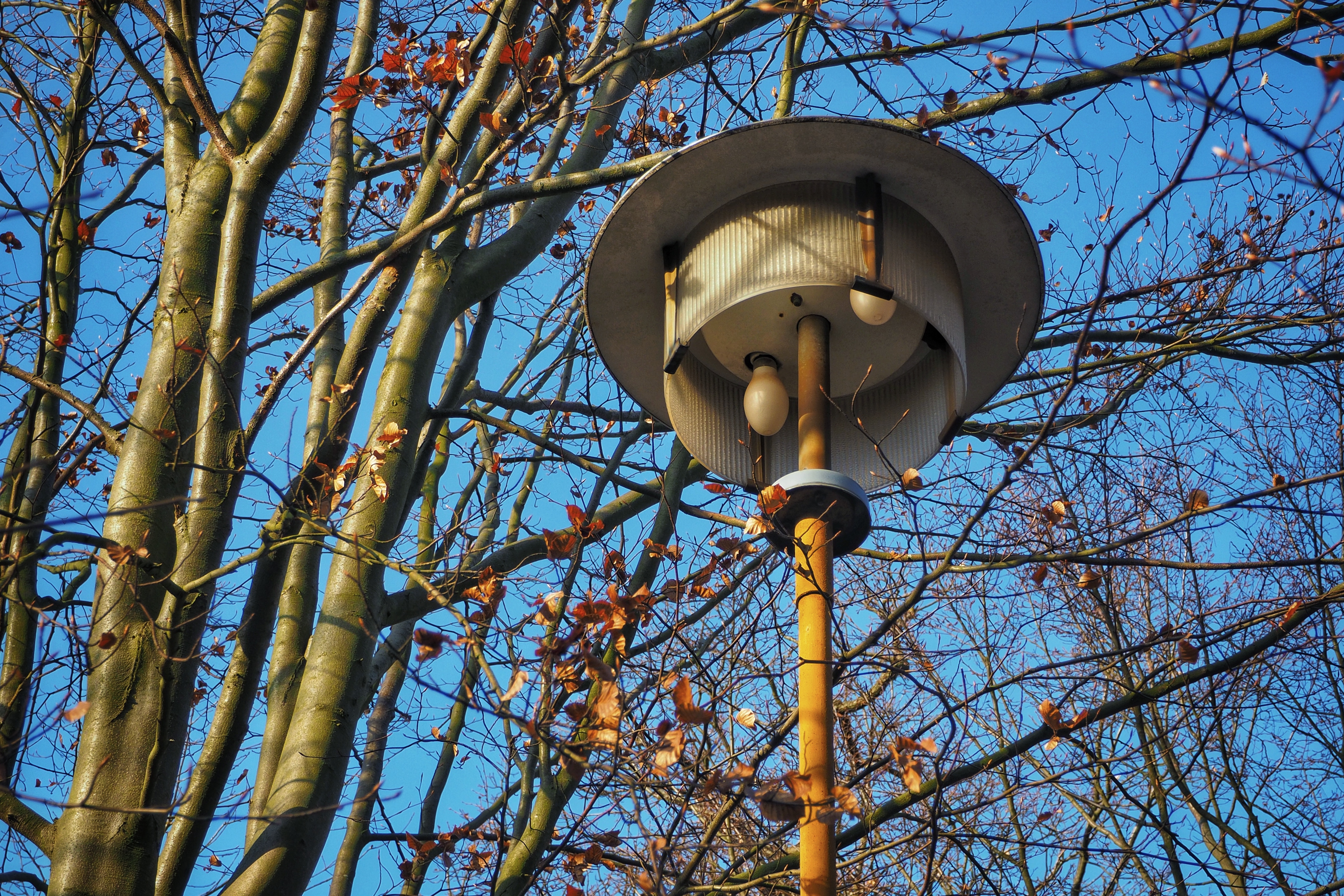 Bild ohne Beschreibung