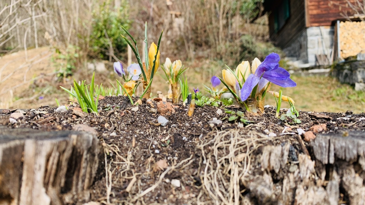Bild ohne Beschreibung Bild ohne Beschreibung