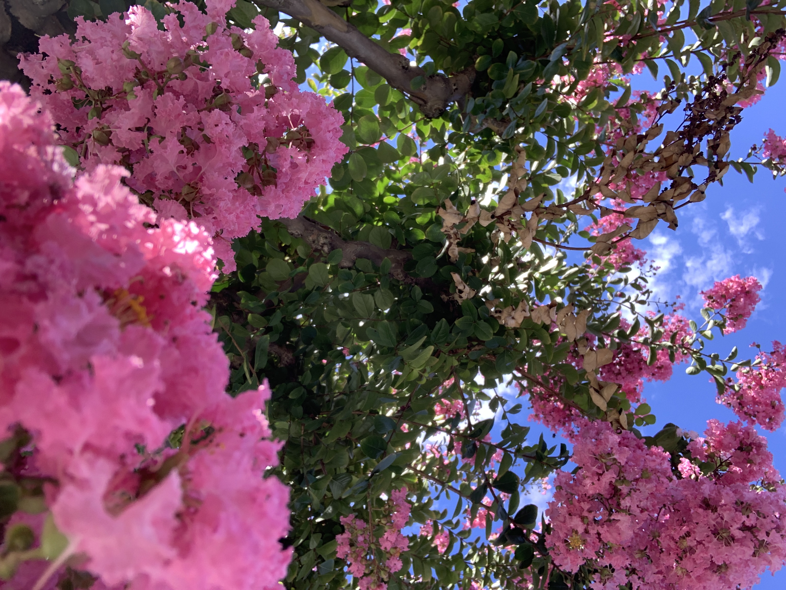 Bild ohne Beschreibung