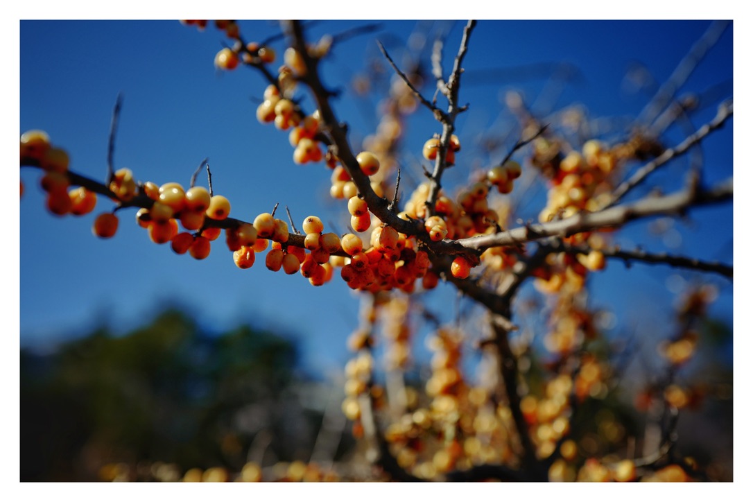 Bild ohne Beschreibung Bild ohne Beschreibung
