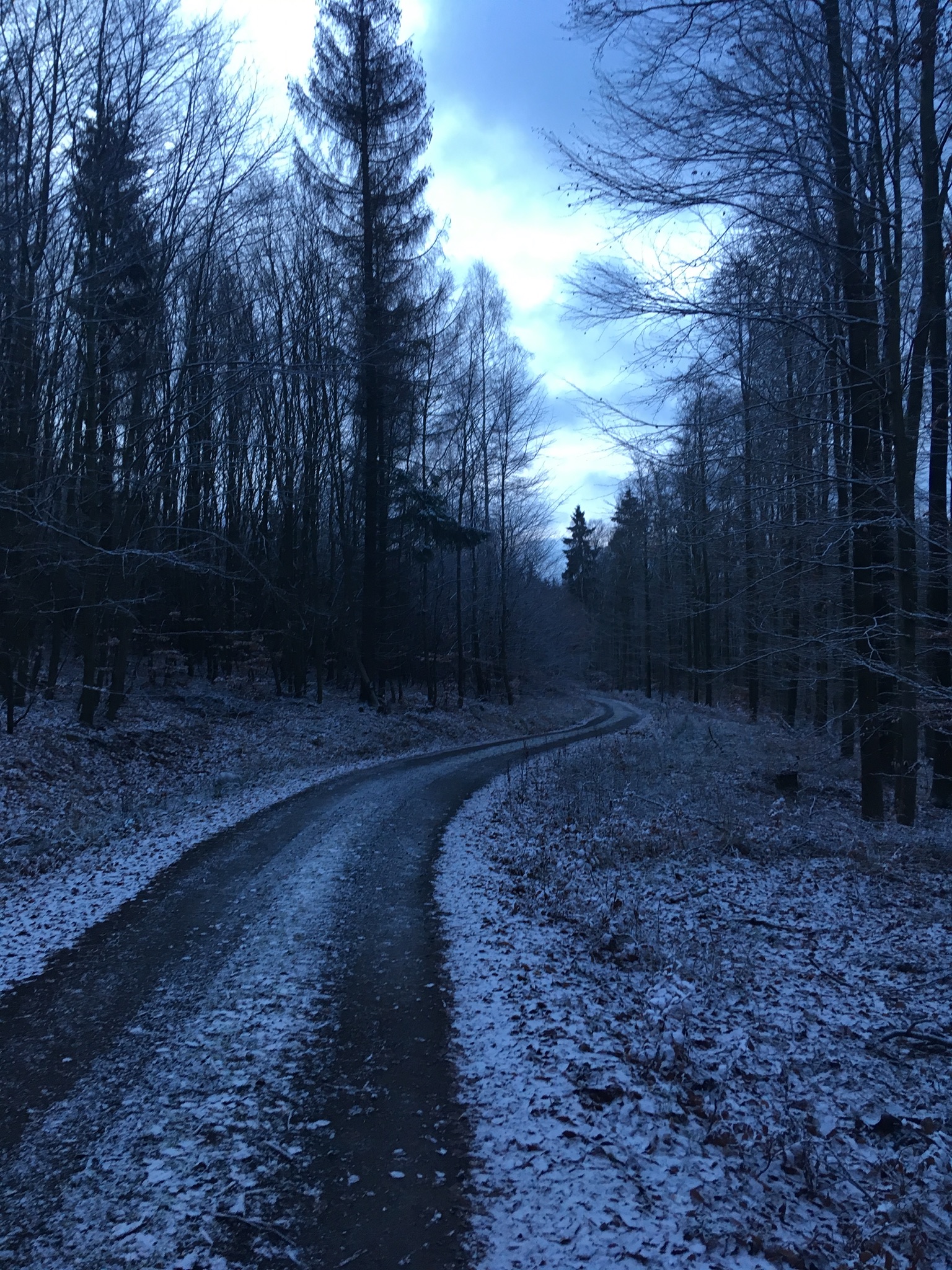 Bild ohne Beschreibung