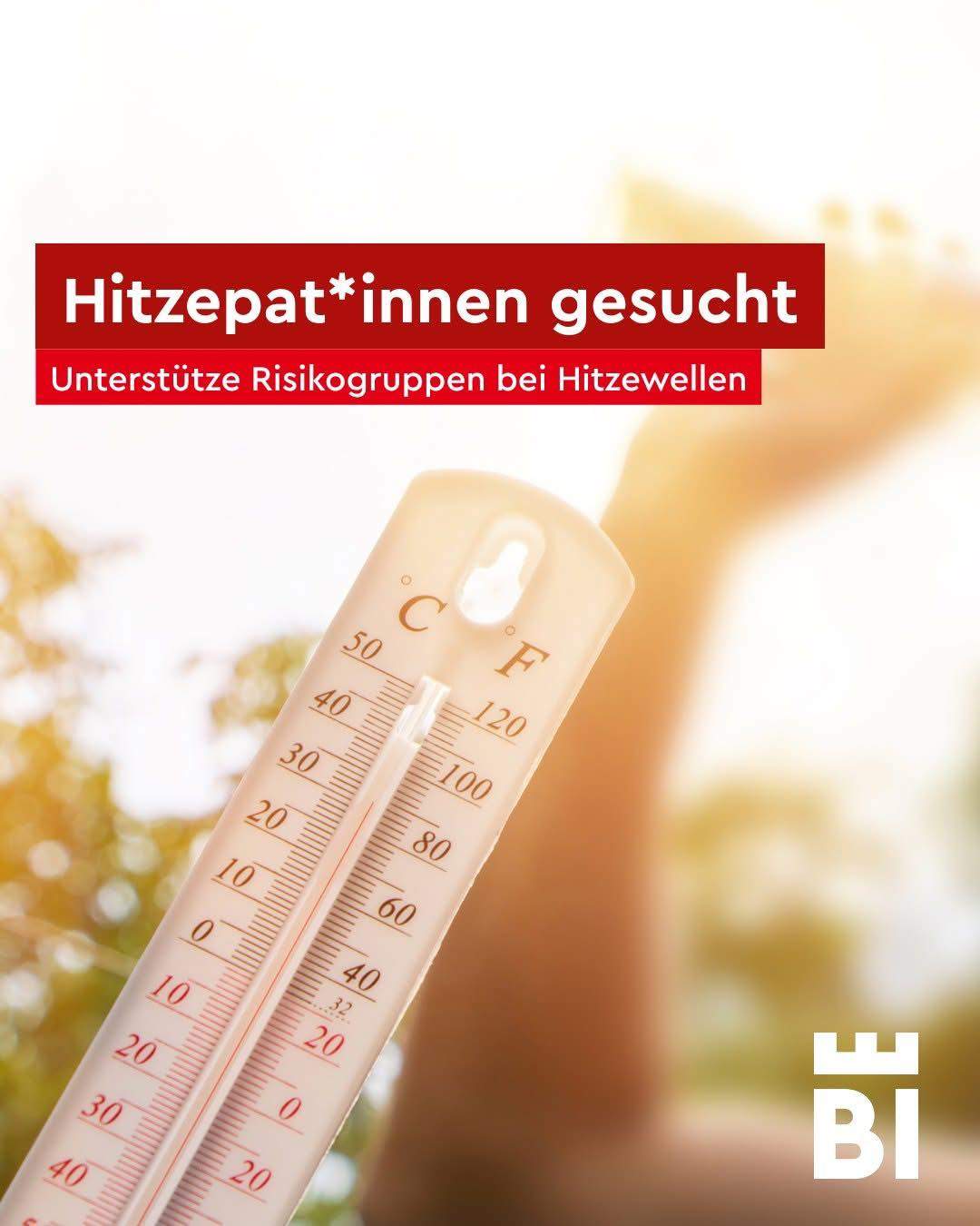 Bild ohne Beschreibung