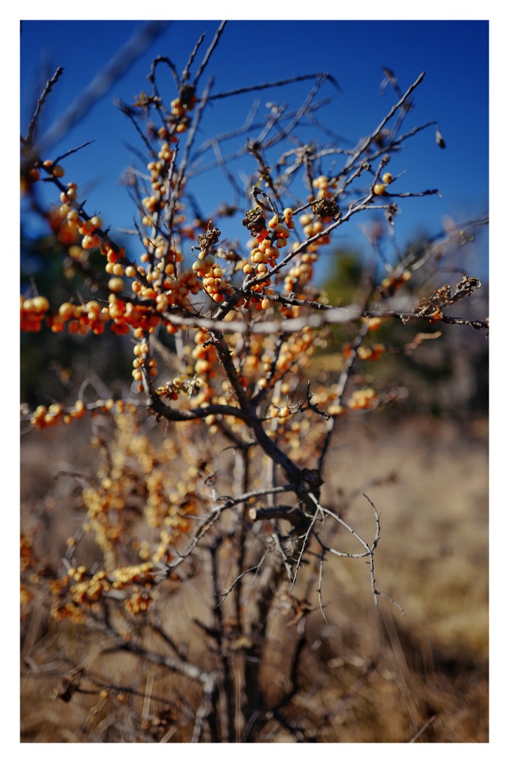 Bild ohne Beschreibung Bild ohne Beschreibung
