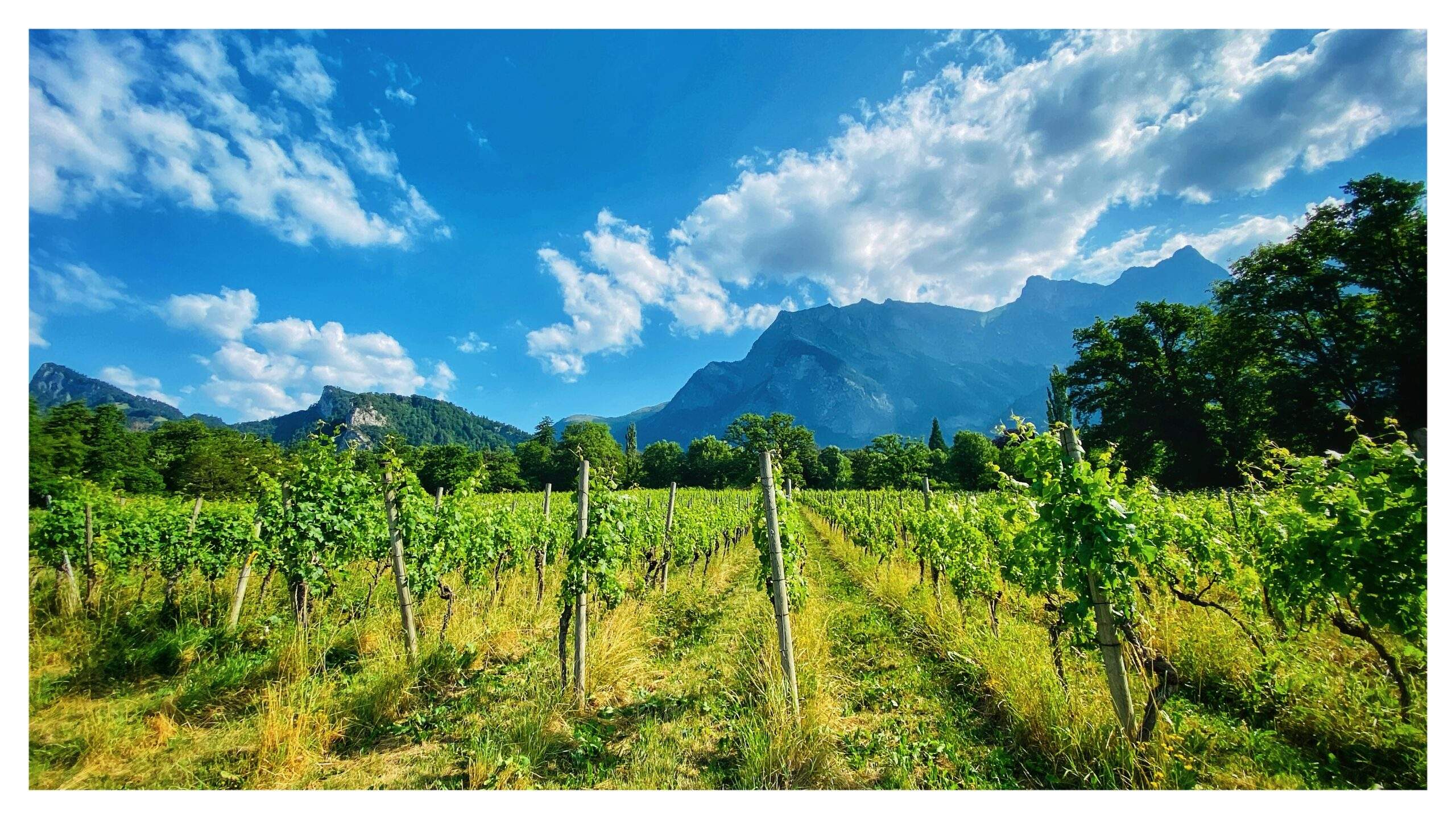 Bild ohne Beschreibung