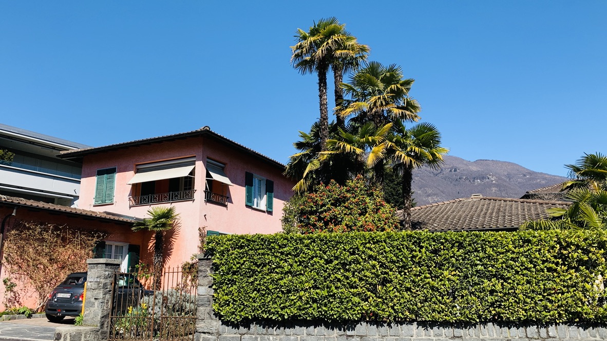 Bild ohne Beschreibung