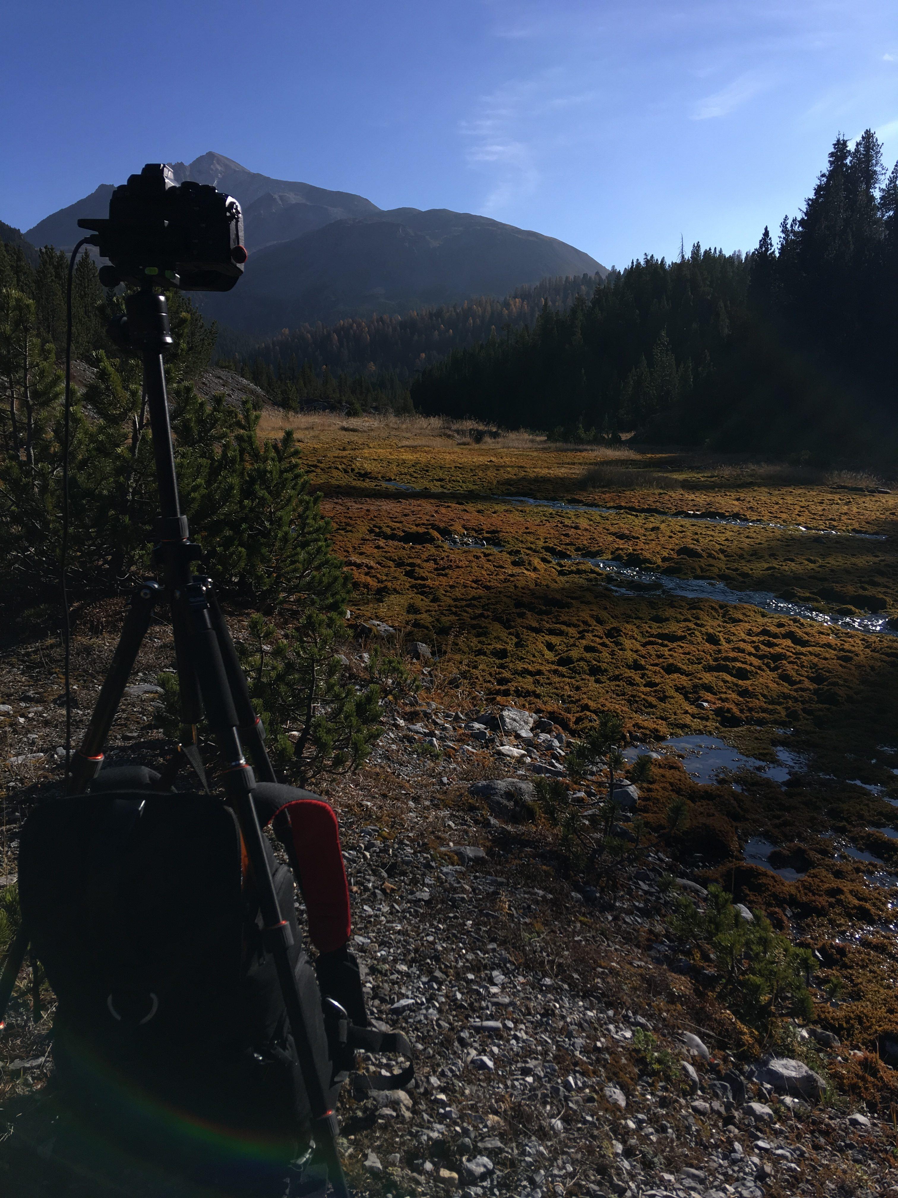 Bild ohne Beschreibung