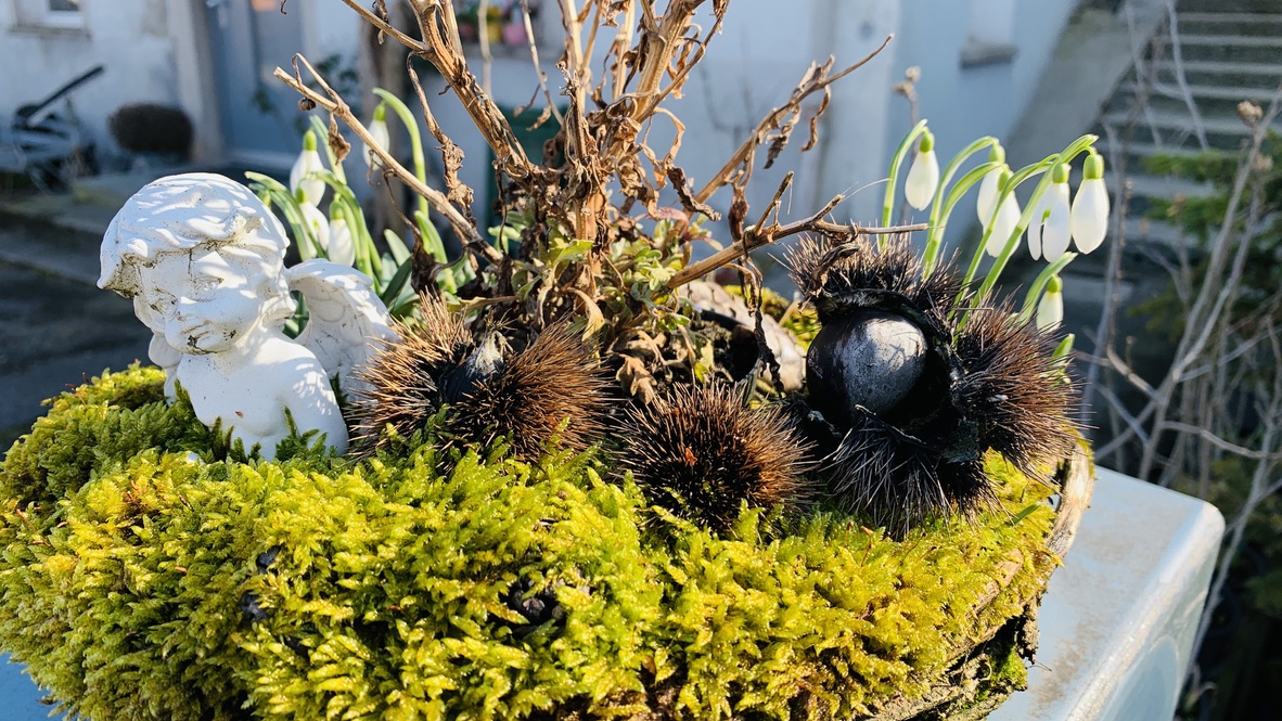 Bild ohne Beschreibung