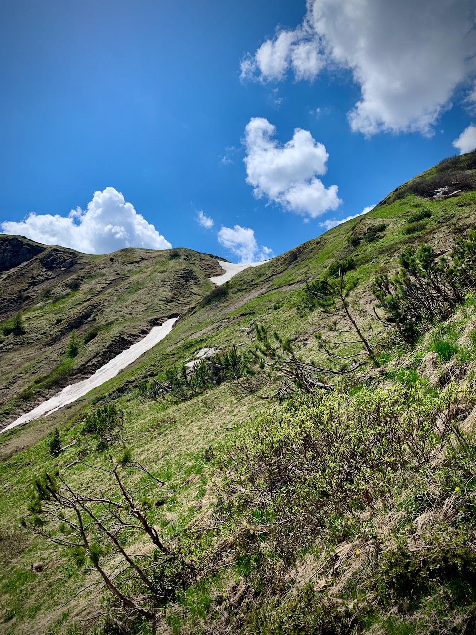 Bild ohne Beschreibung