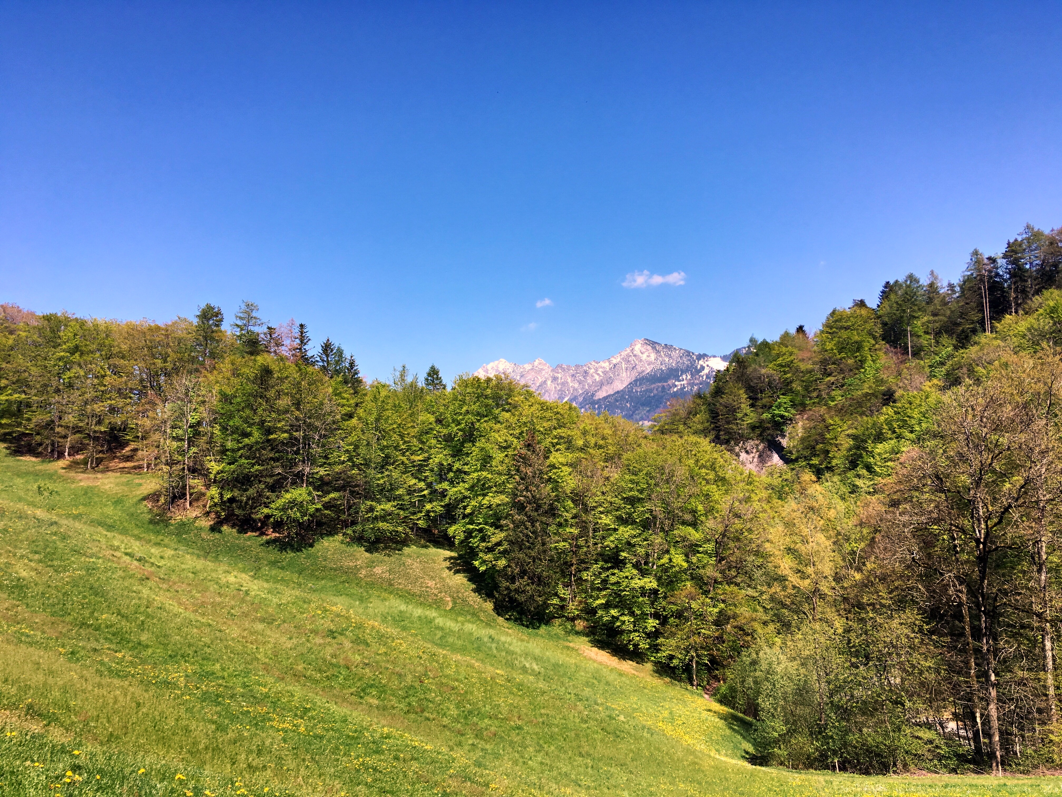 Bild ohne Beschreibung