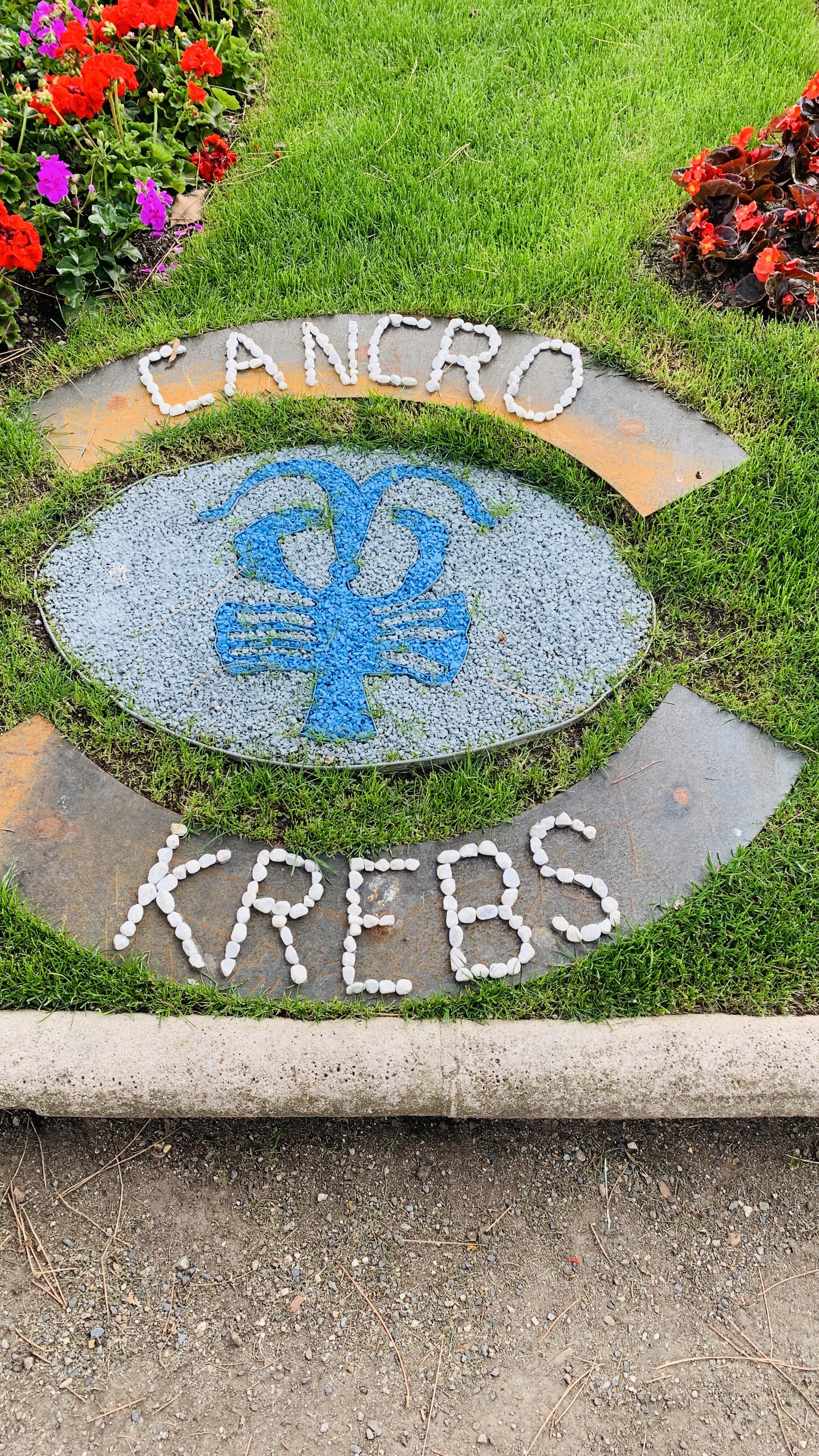 Bild ohne Beschreibung Bild ohne Beschreibung