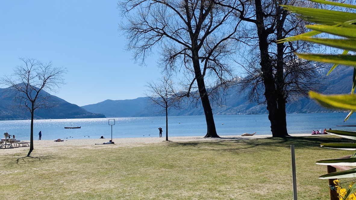 Bild ohne Beschreibung