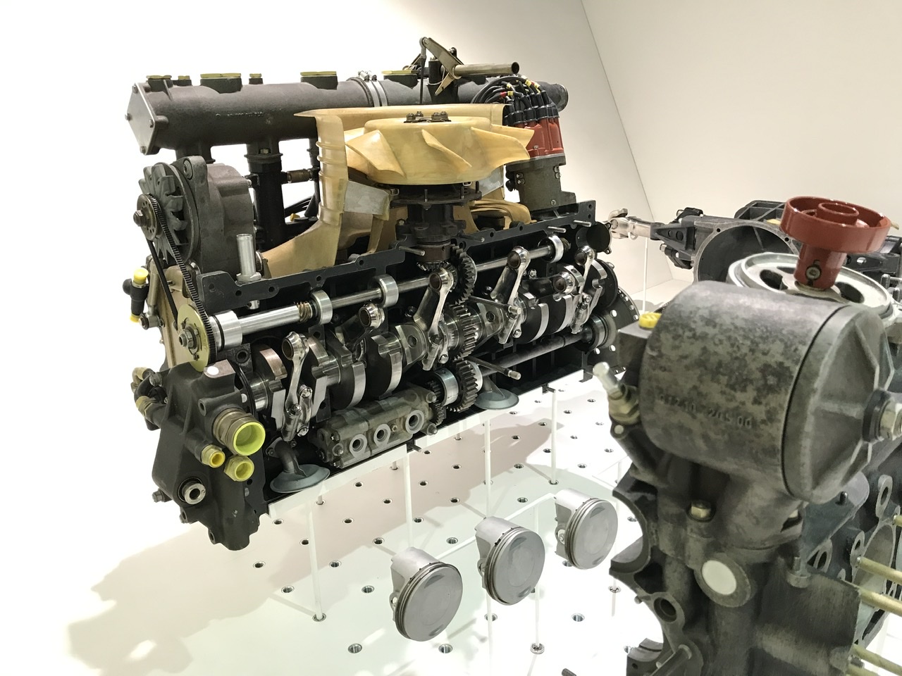 Bild ohne Beschreibung