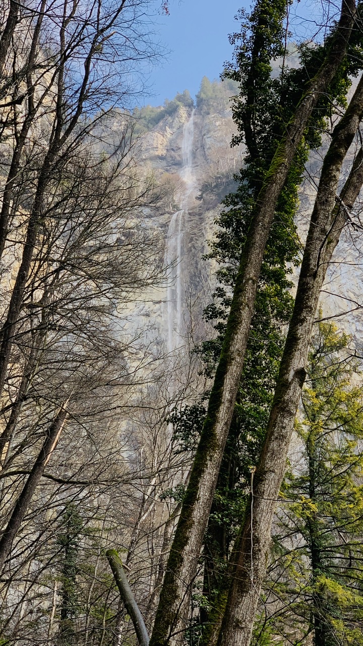 Bild ohne Beschreibung Bild ohne Beschreibung