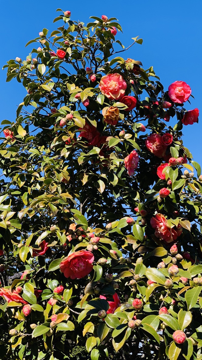 Bild ohne Beschreibung