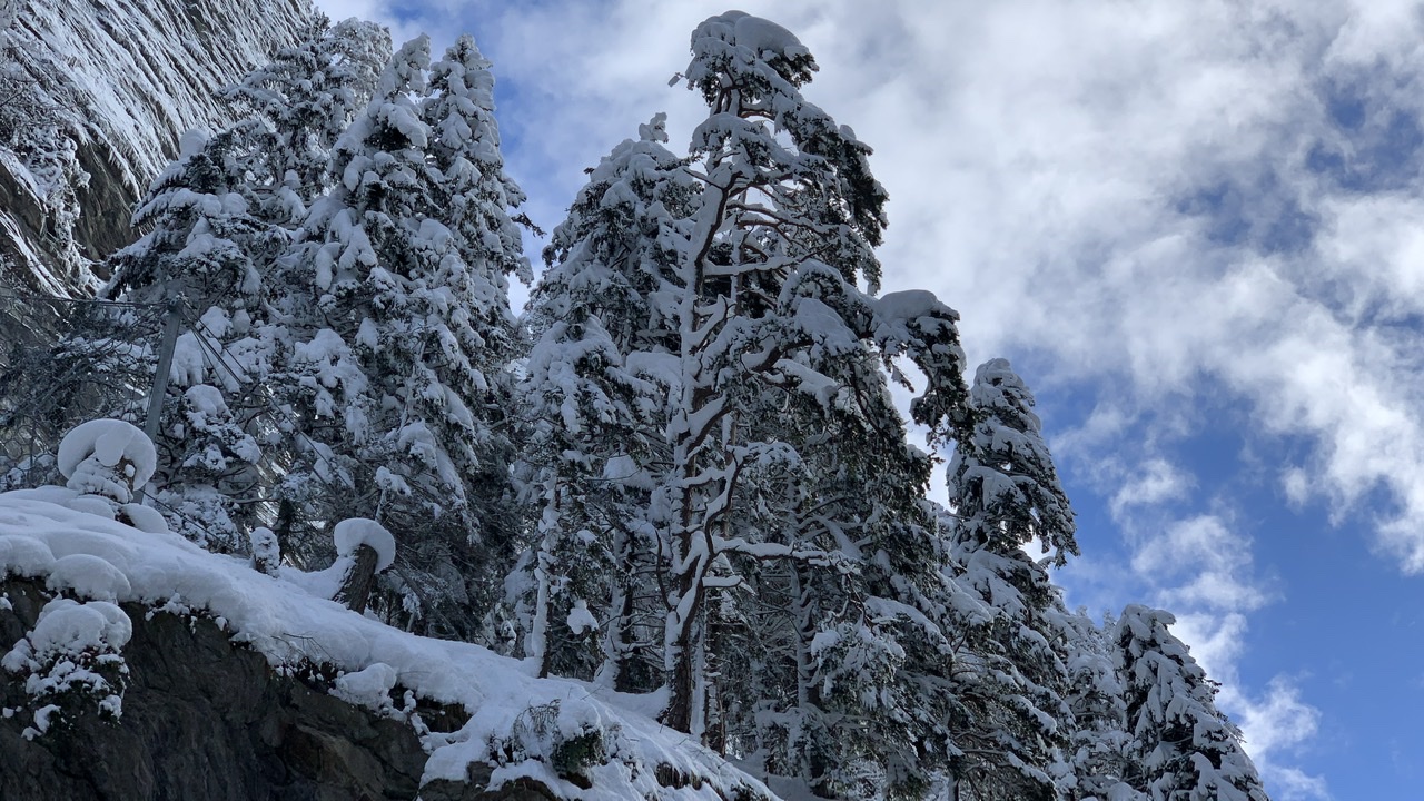 Bild ohne Beschreibung