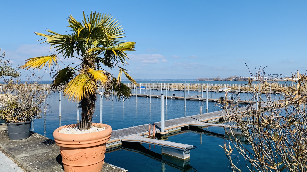 Bild ohne Beschreibung