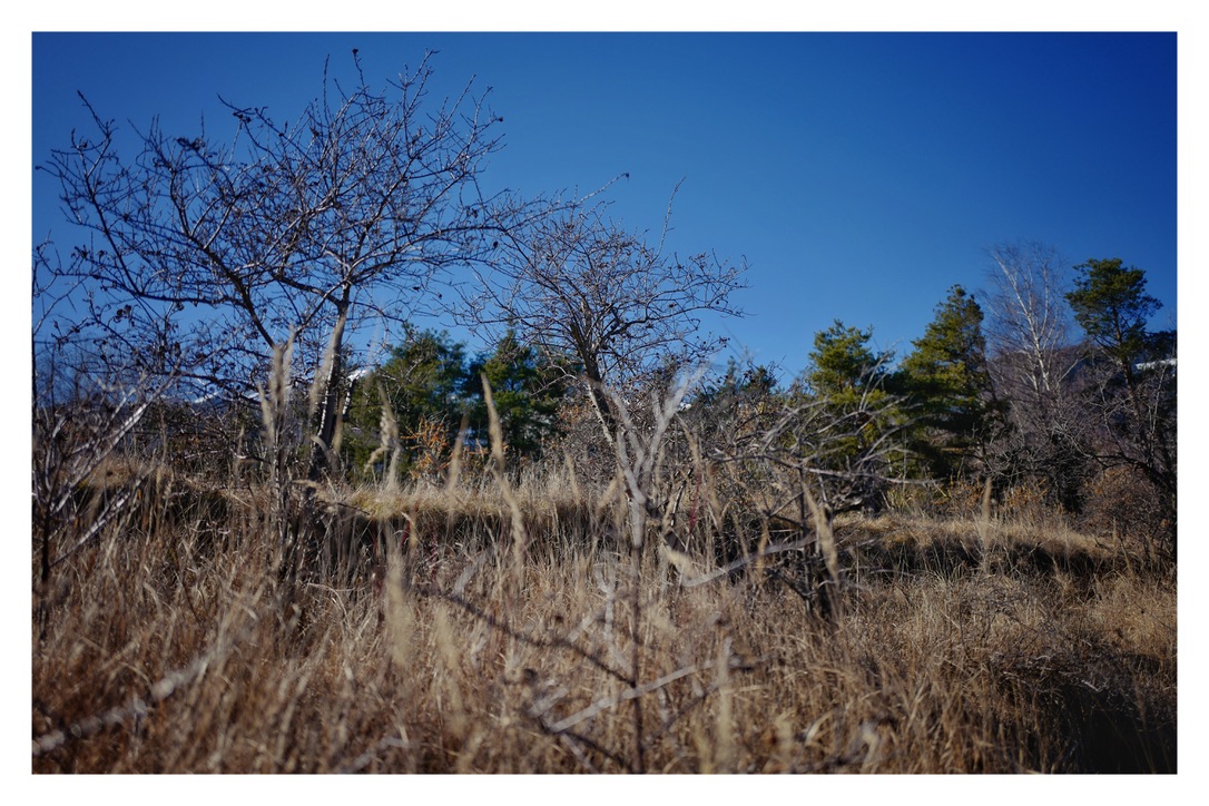 Bild ohne Beschreibung Bild ohne Beschreibung