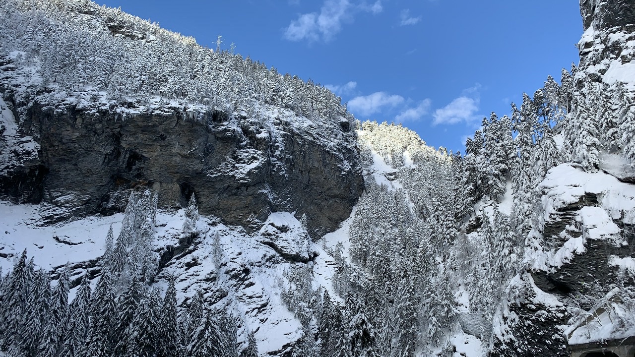 Bild ohne Beschreibung