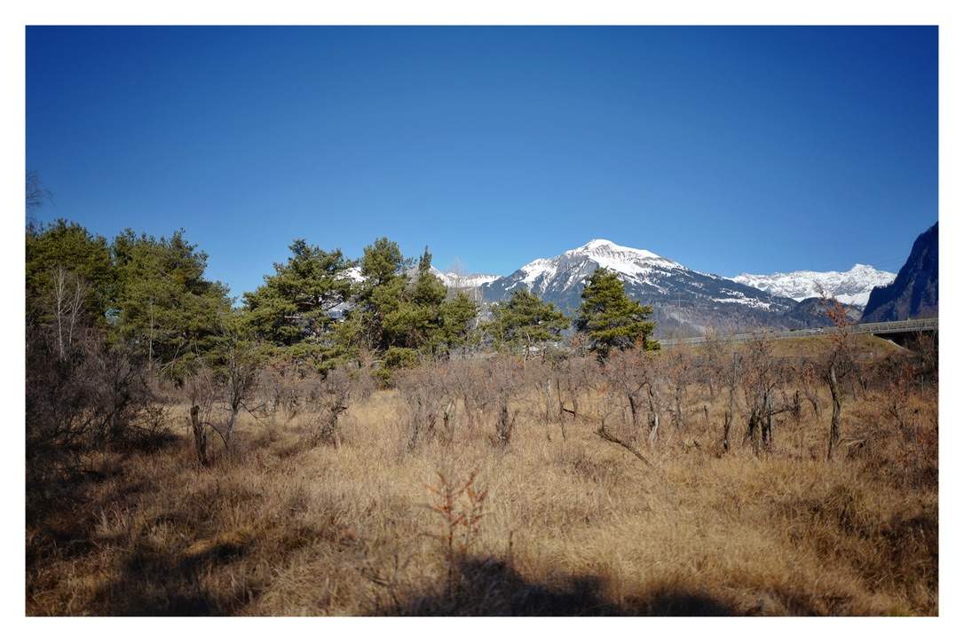 Bild ohne Beschreibung Bild ohne Beschreibung