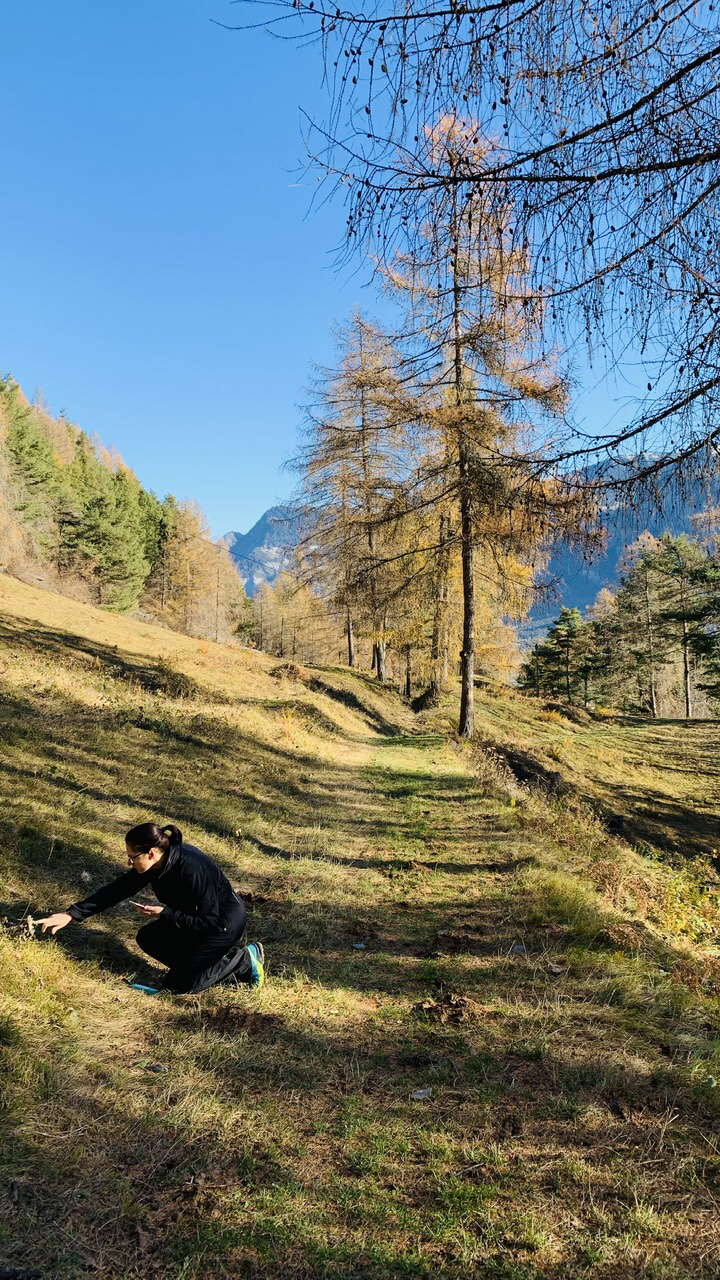 Bild ohne Beschreibung