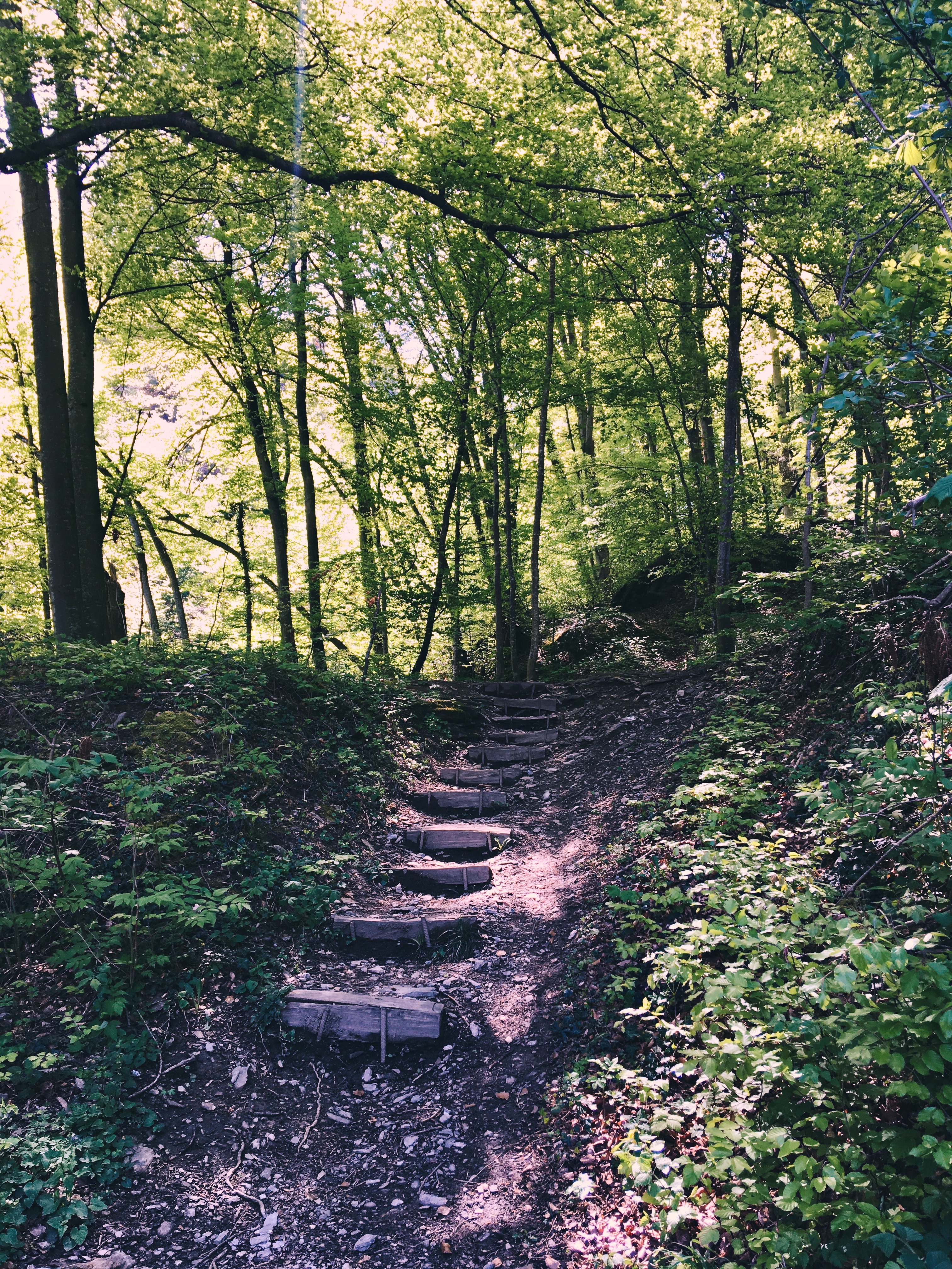 Bild ohne Beschreibung