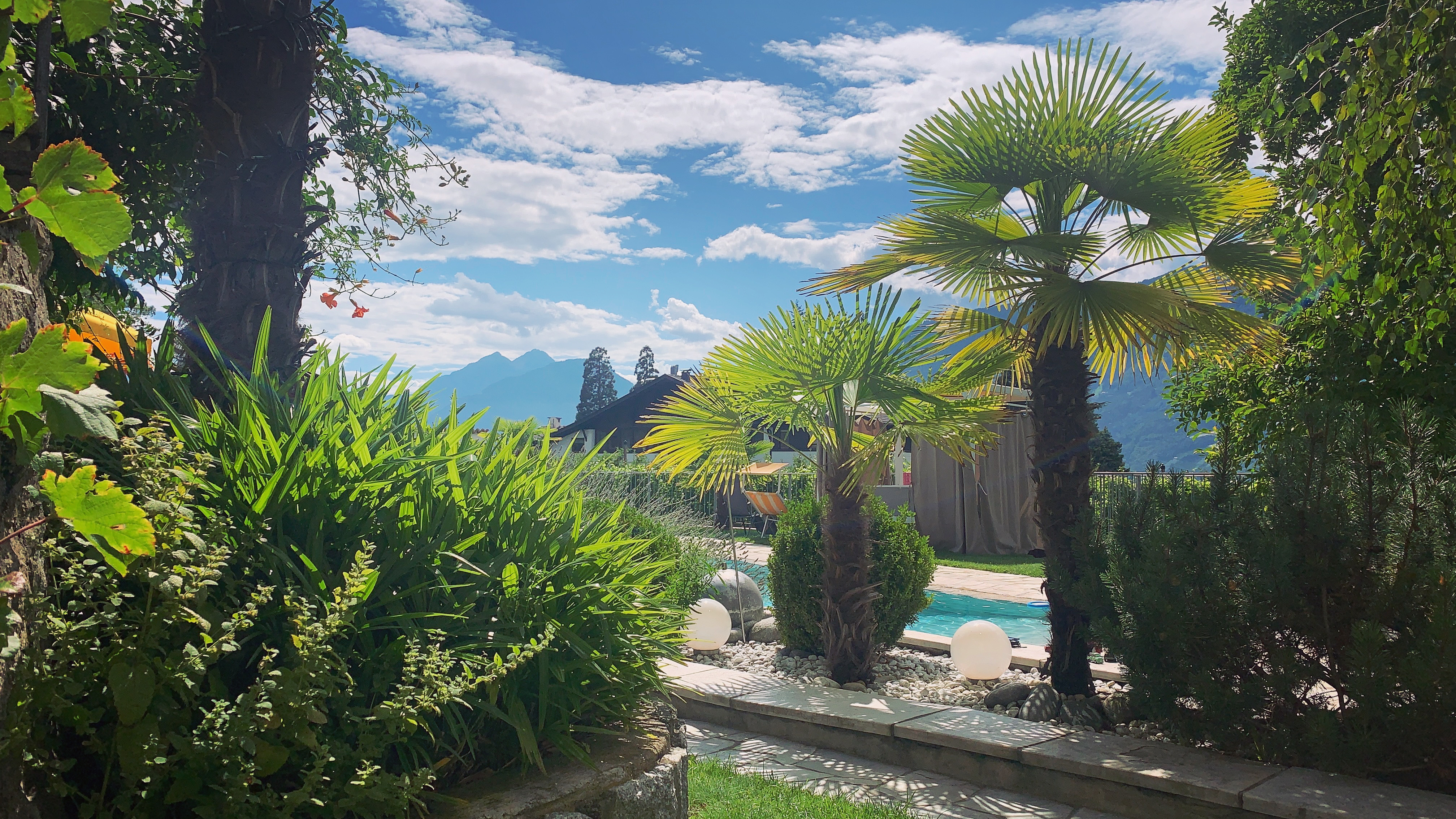 Bild ohne Beschreibung