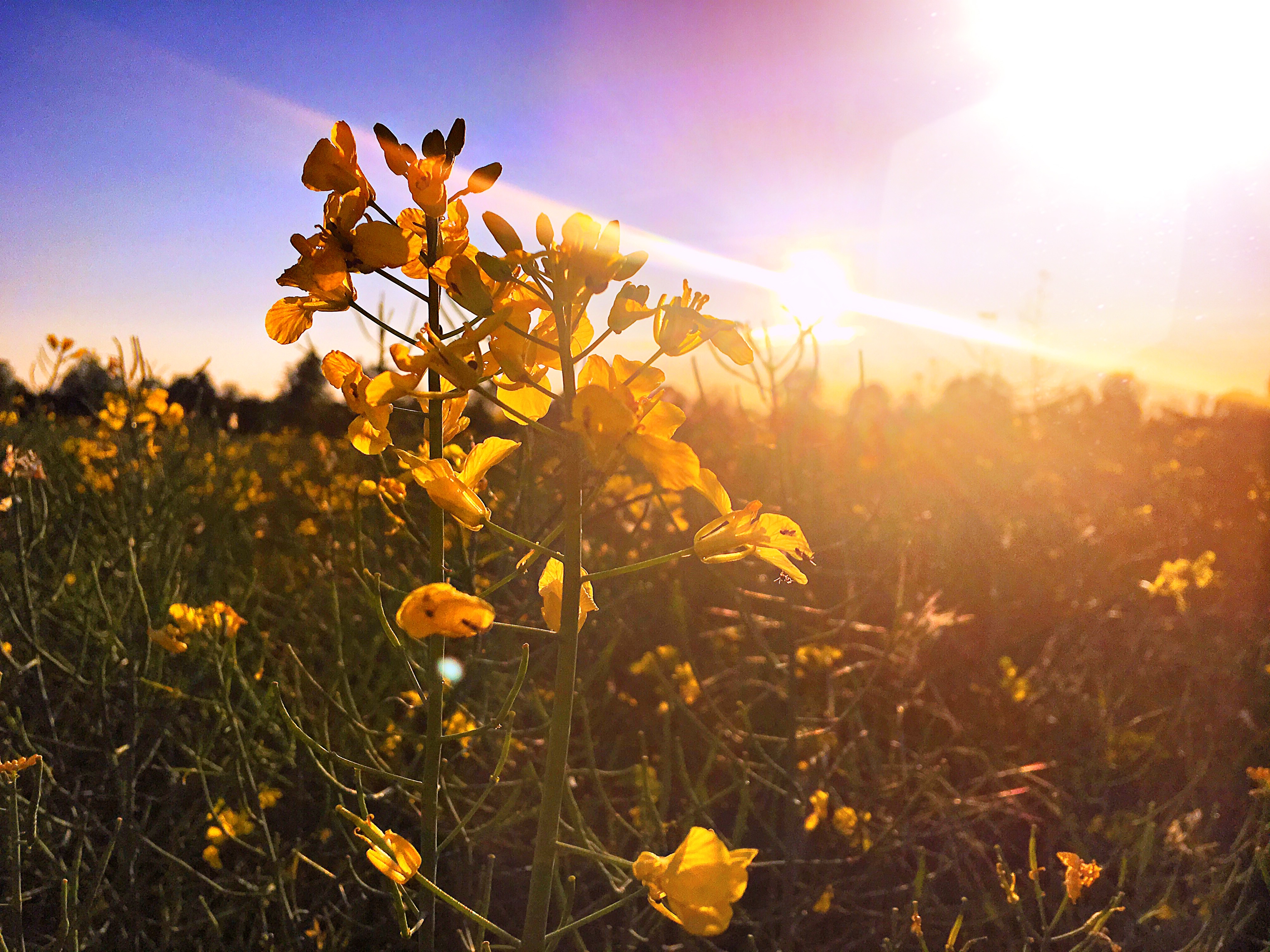 Bild ohne Beschreibung